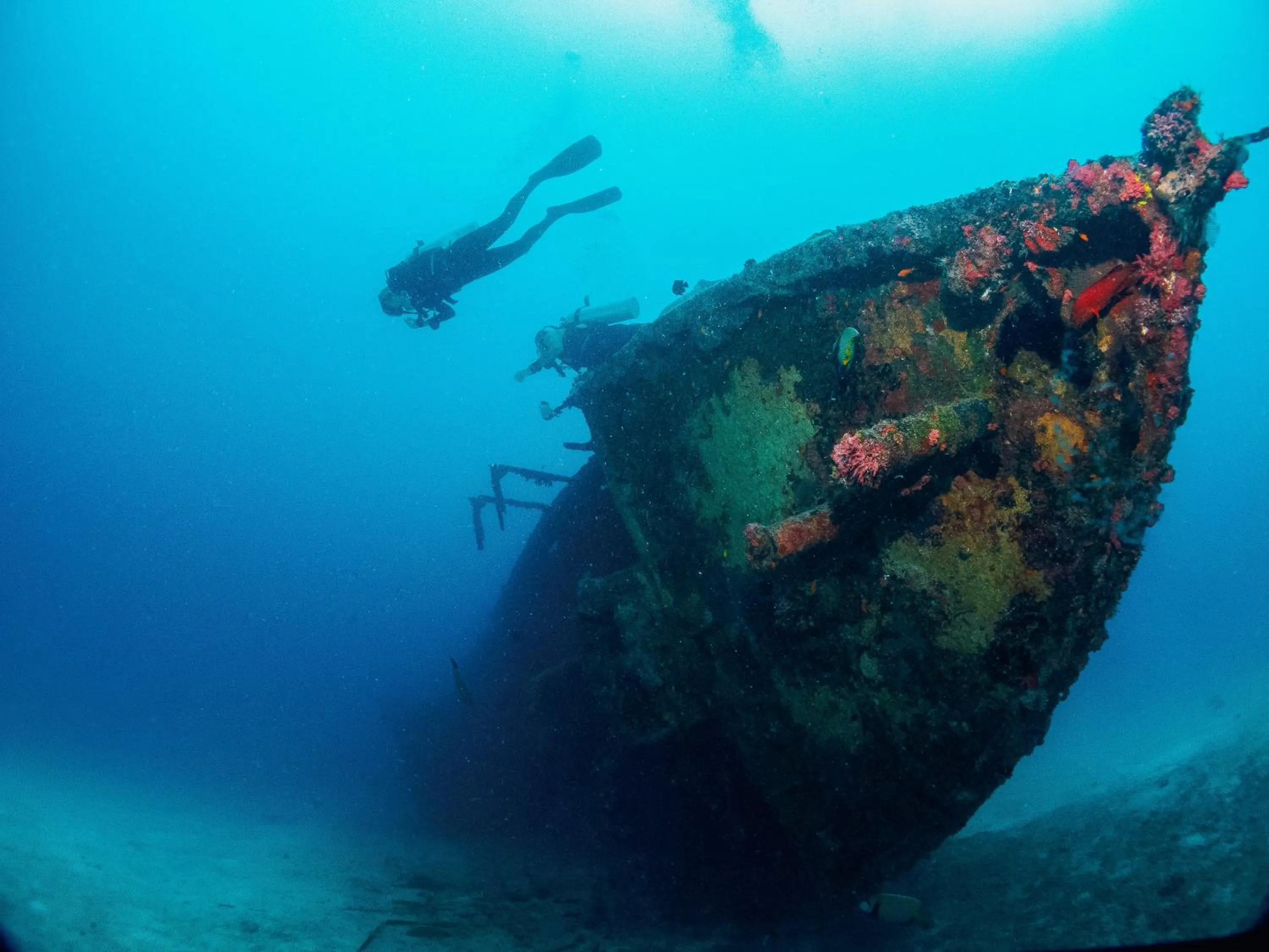 Diving in Bliss Dhigurah