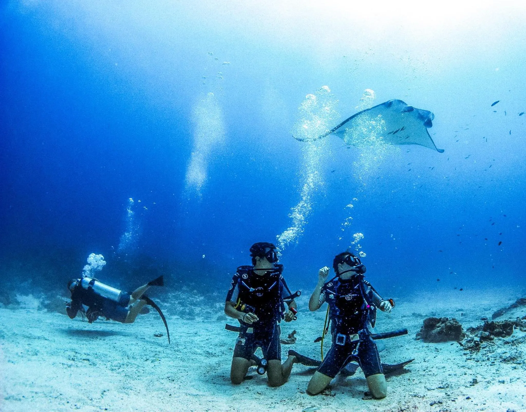Diving in Bliss Dhigurah