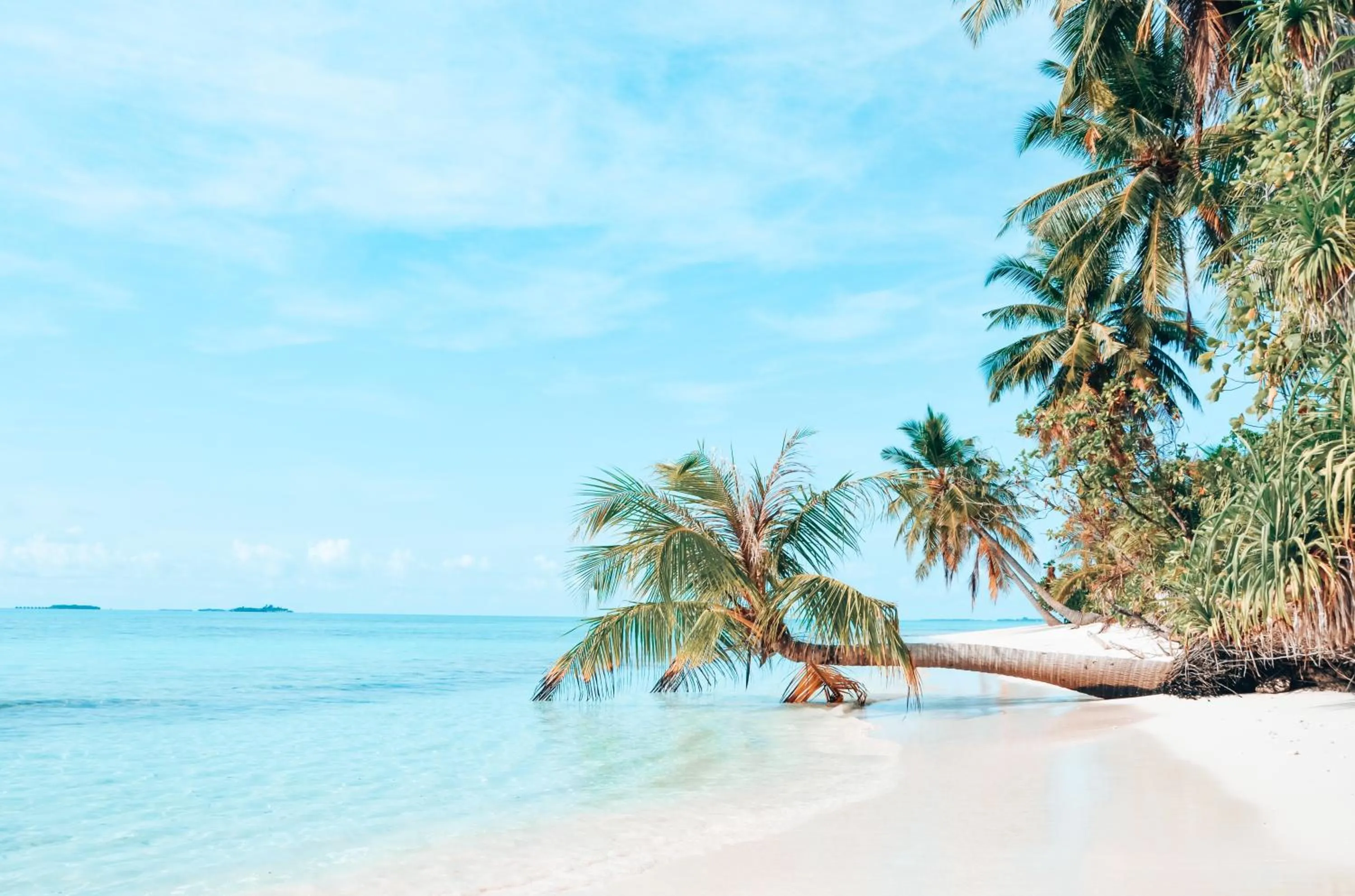Beach in Bliss Dhigurah