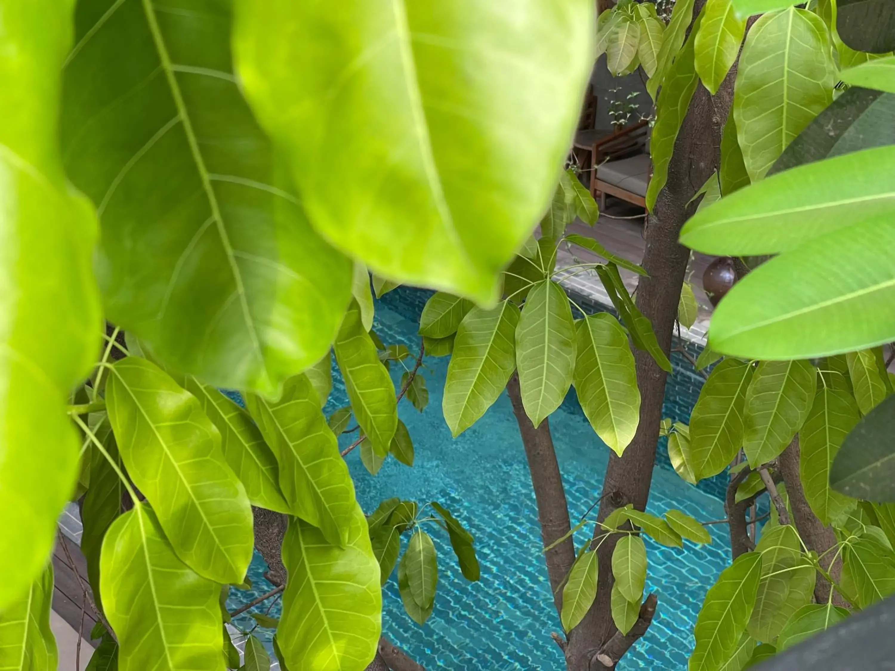 Swimming pool in Sarina Boutique Hotel Swimming pool in Sarina Boutique Hotel