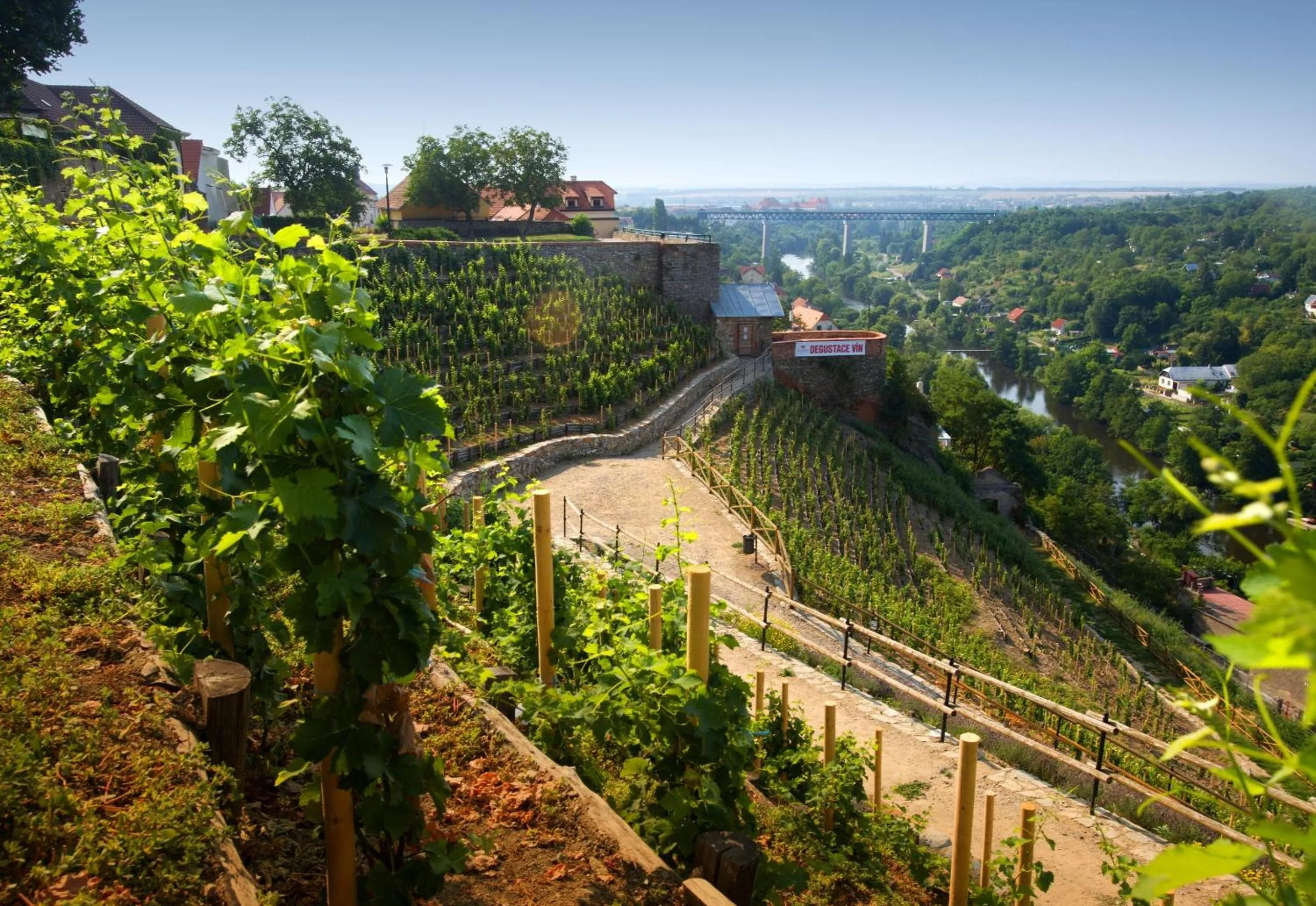 Natural landscape in Hotel Lahofer