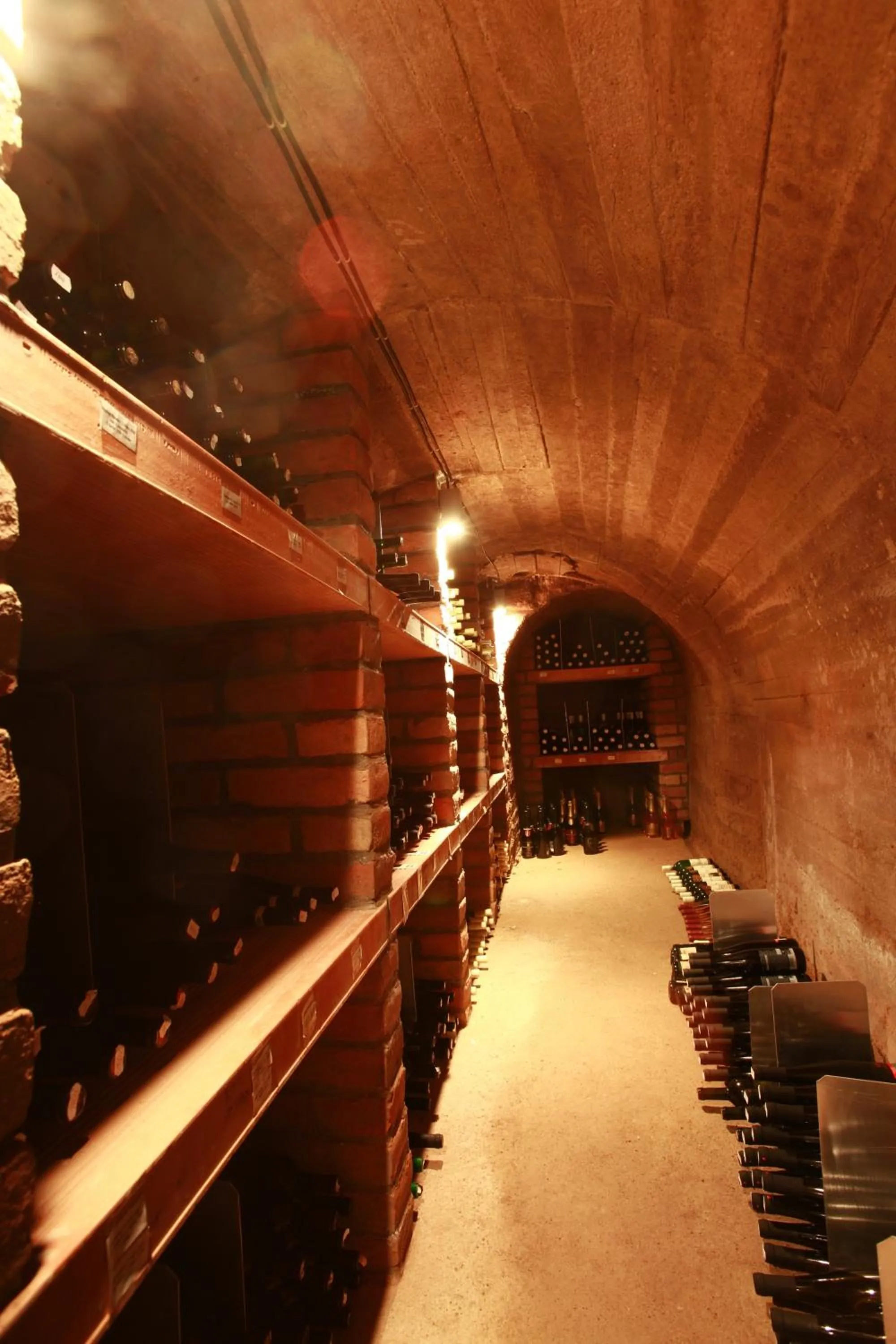 Lounge or bar in Hotel Lahofer