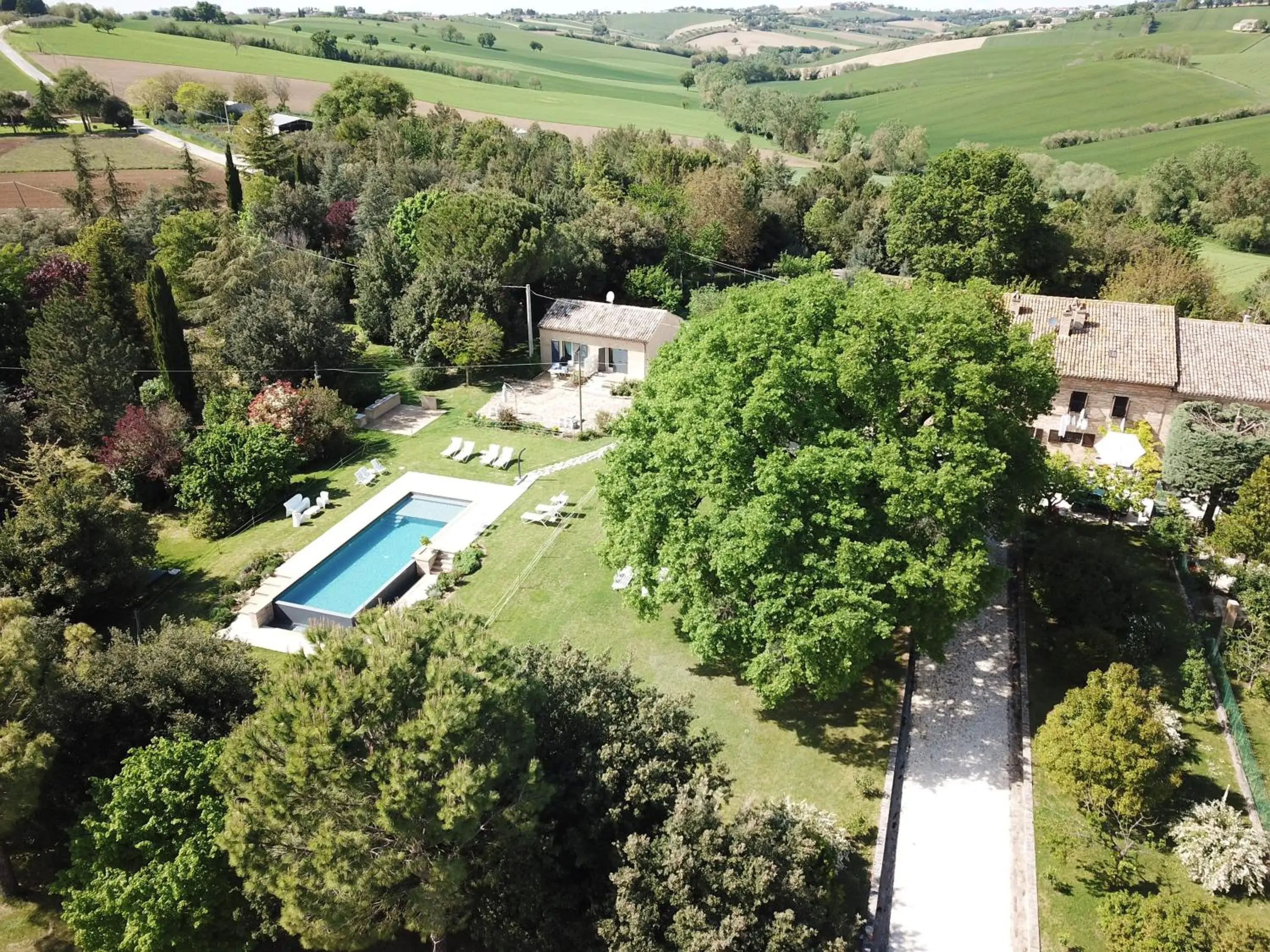 Tenuta del Viandante Tenuta del Viandante