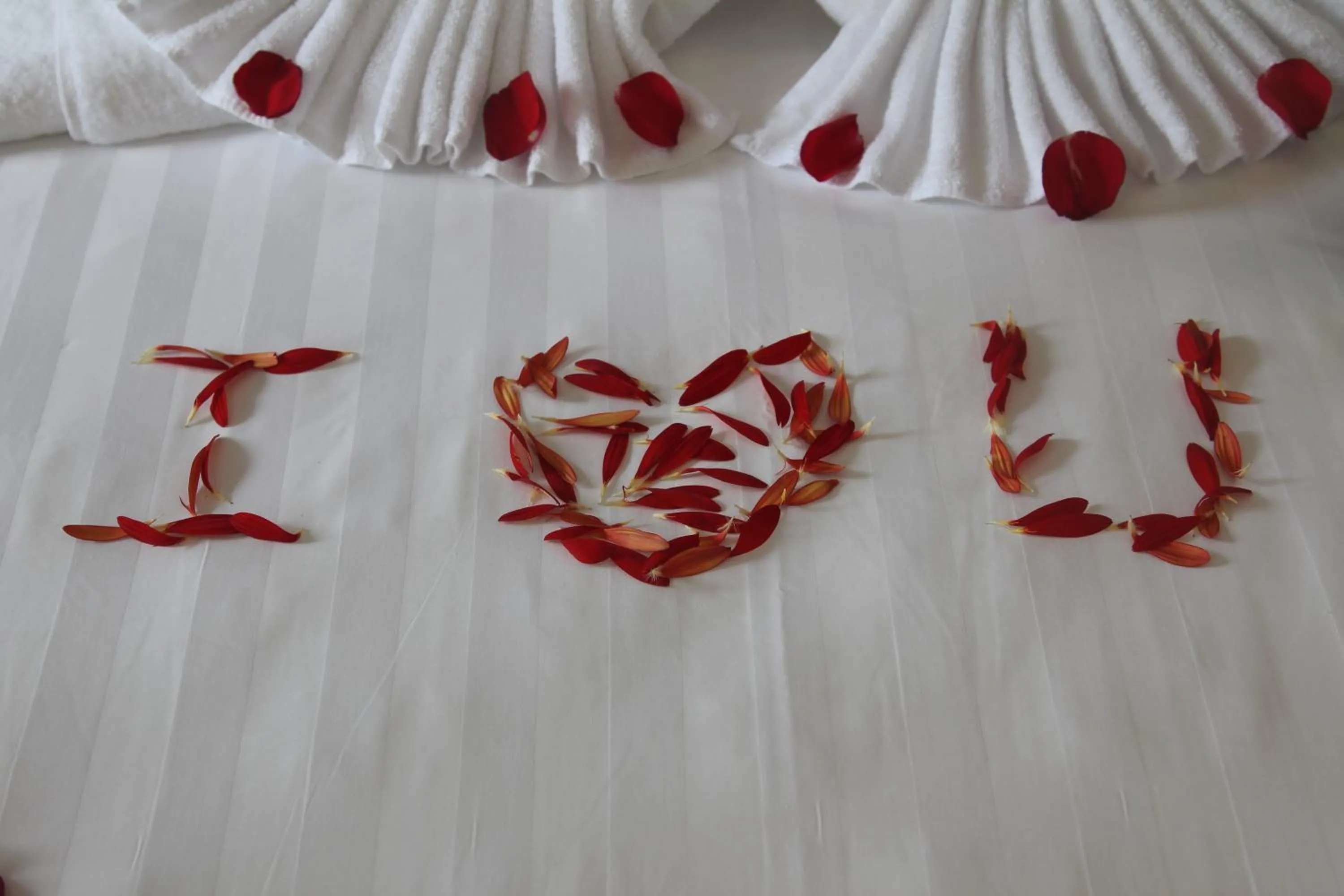 Decorative detail in Laverder Resort