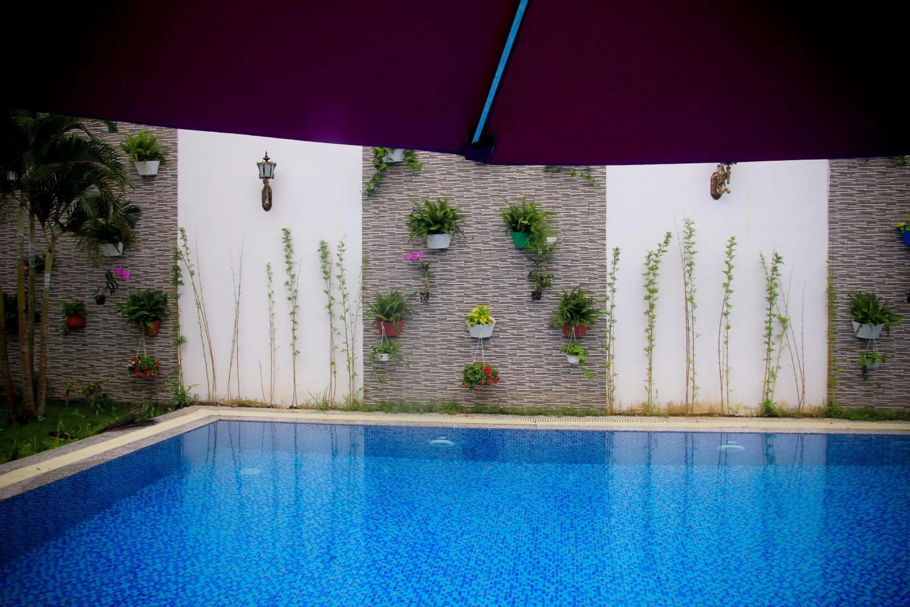 Swimming pool in Laverder Resort