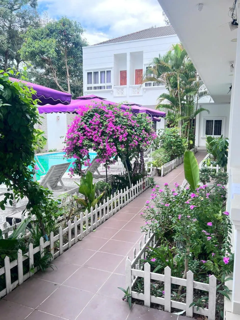 Garden in Laverder Resort