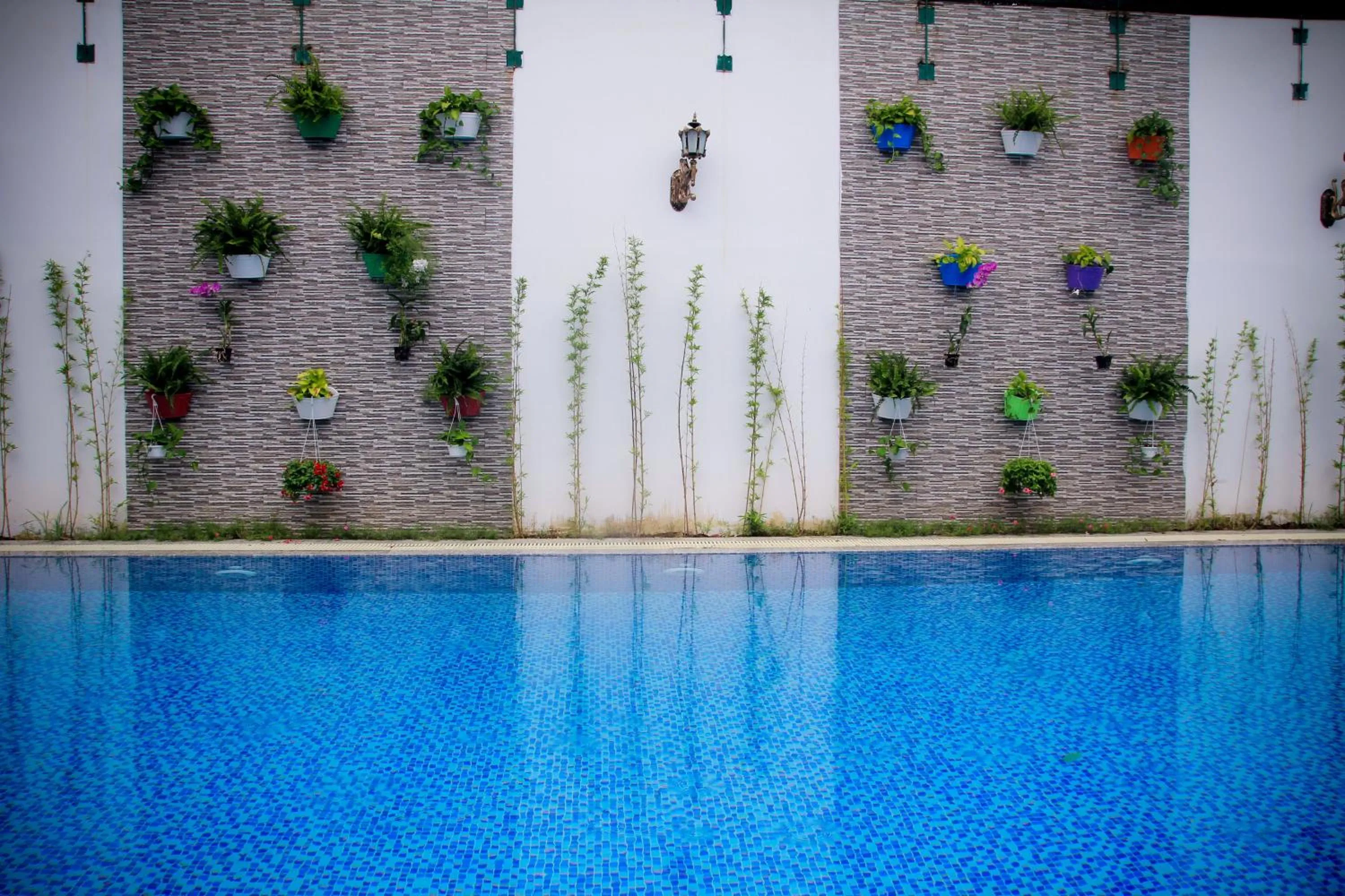 Swimming pool in Laverder Resort