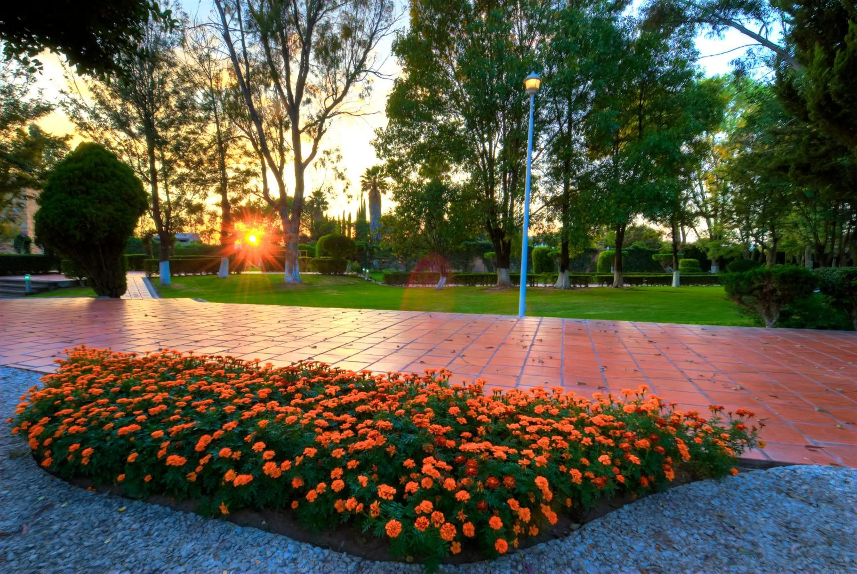 Spring in Hotel Las Trojes