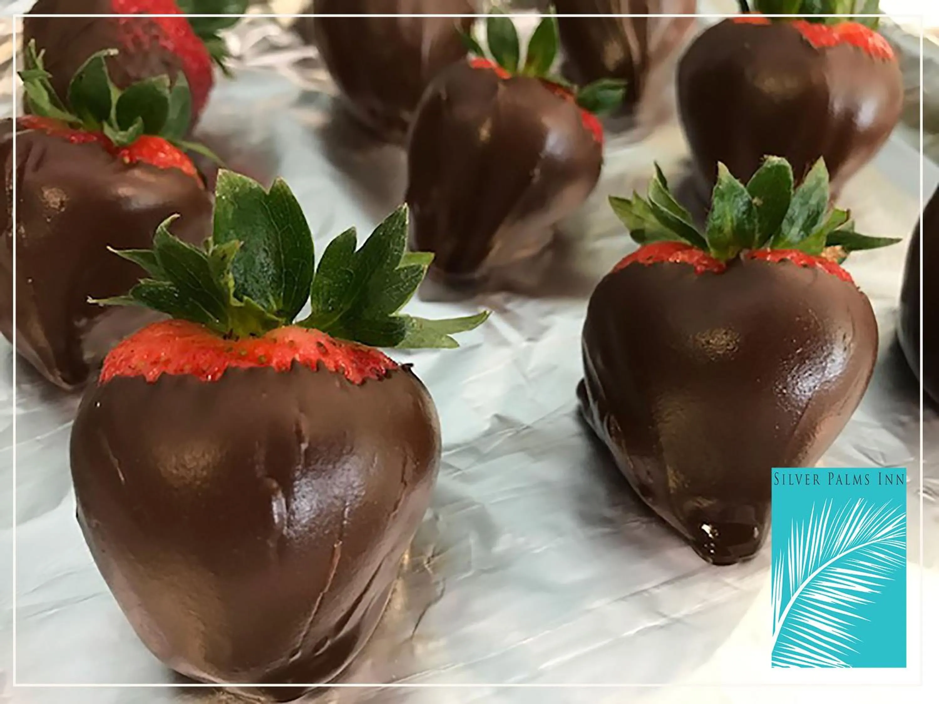 Other in Silver Palms Inn