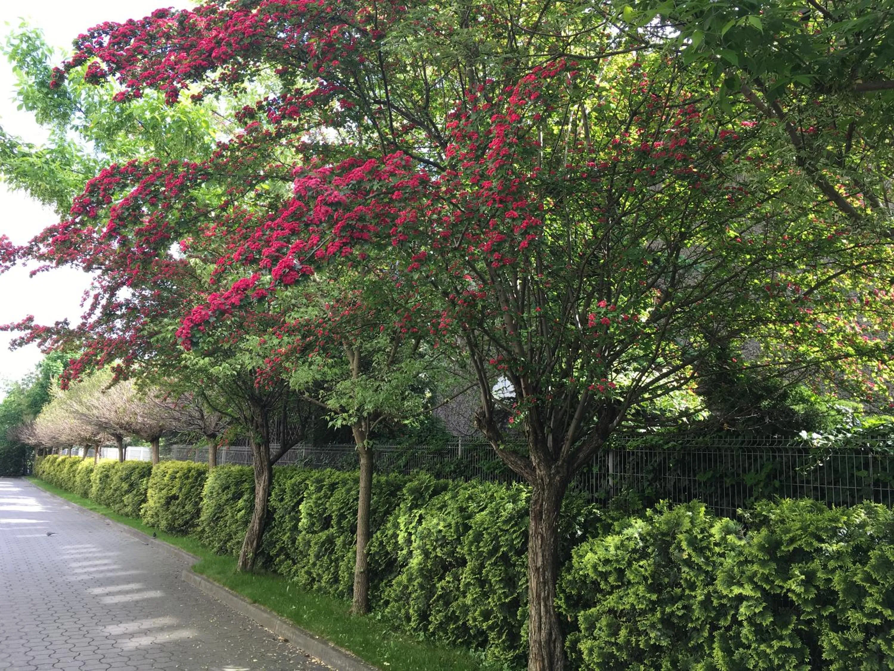 Facade/entrance in Gosciniec Tombor