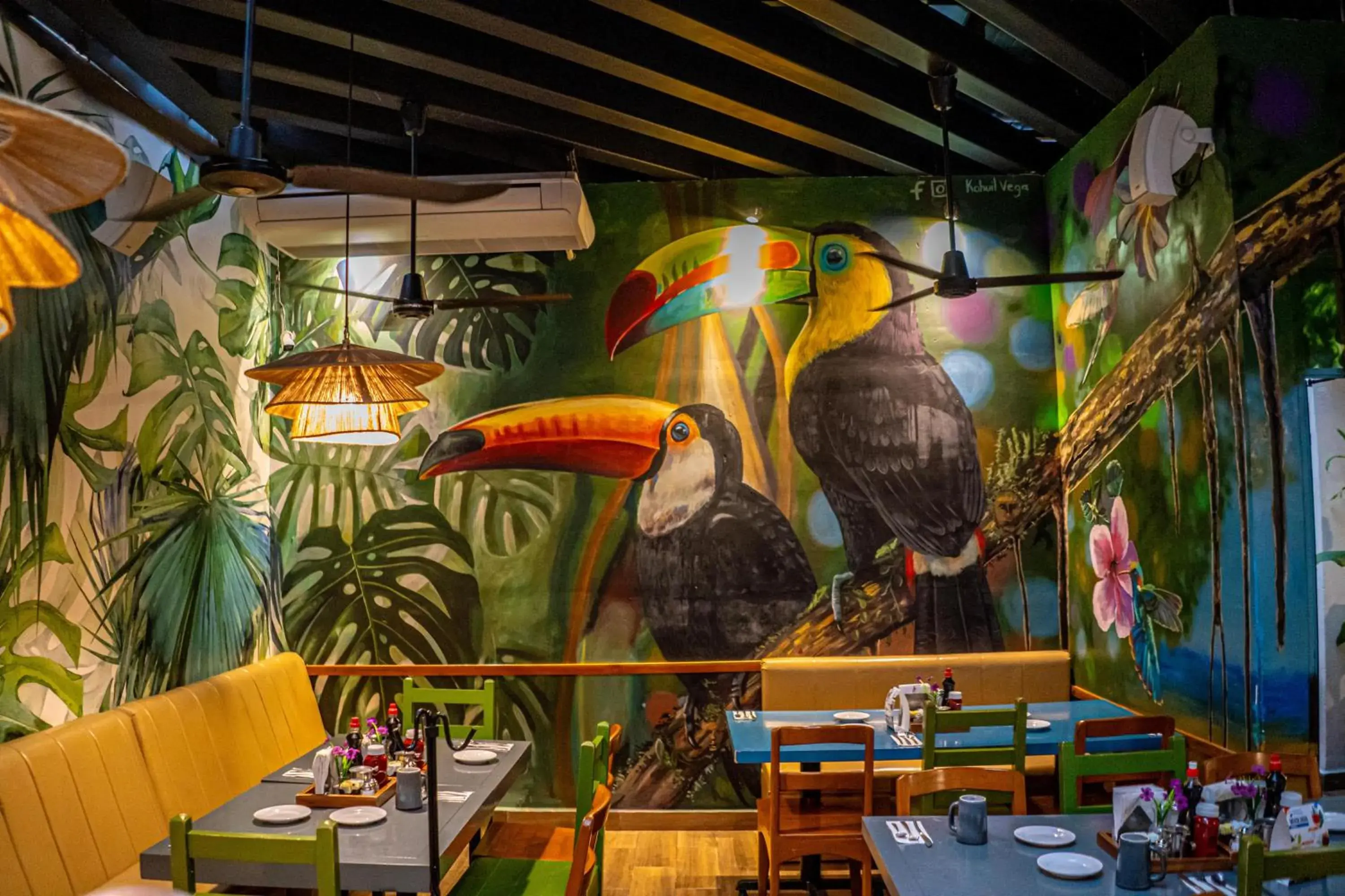 Restaurant/places to eat in Hotel Posada De Roger - Near Los Muertos Beach Restaurant/places to eat in Hotel Posada De Roger - Near Los Muertos Beach