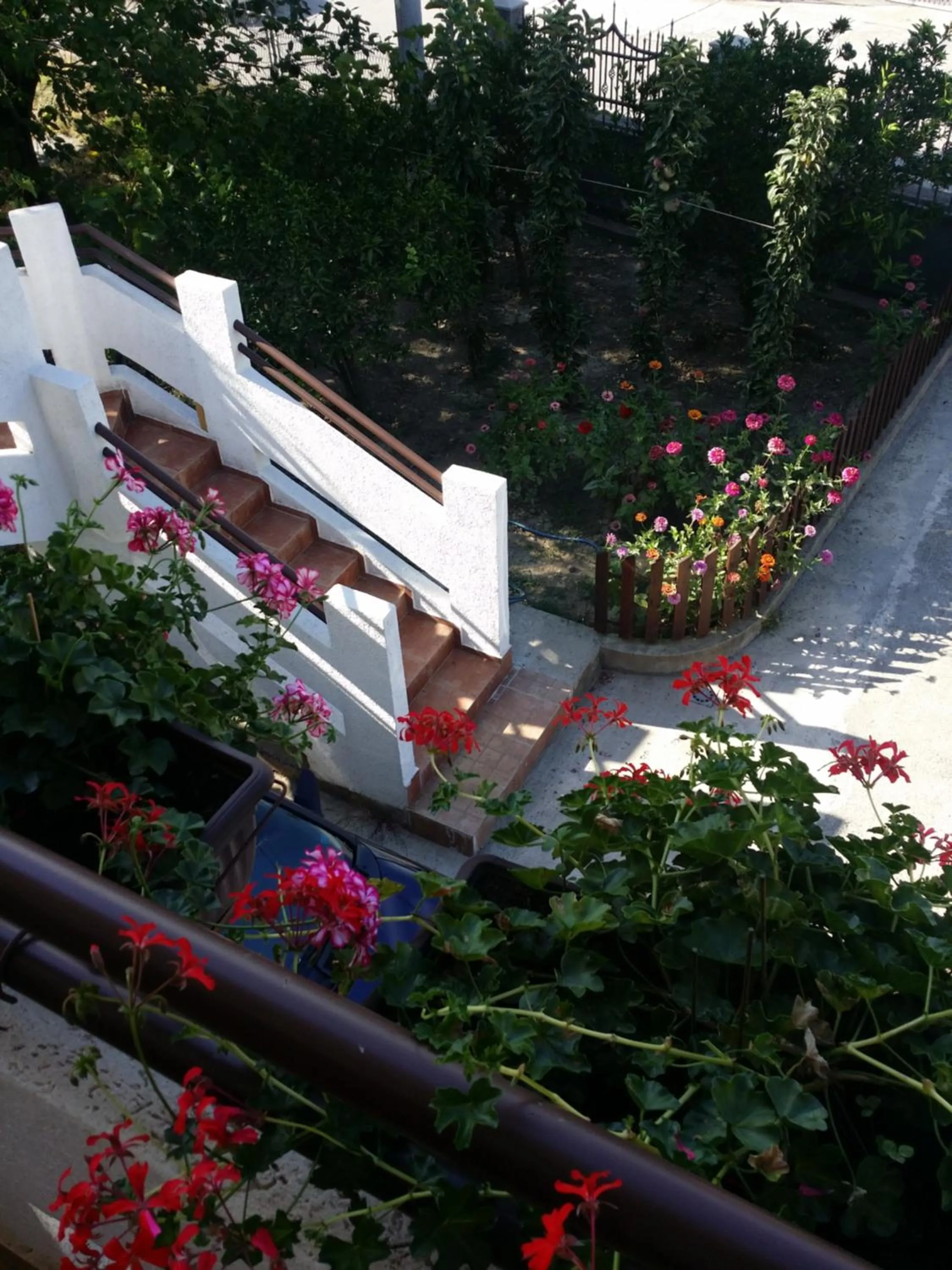 Apartman Tripkovic