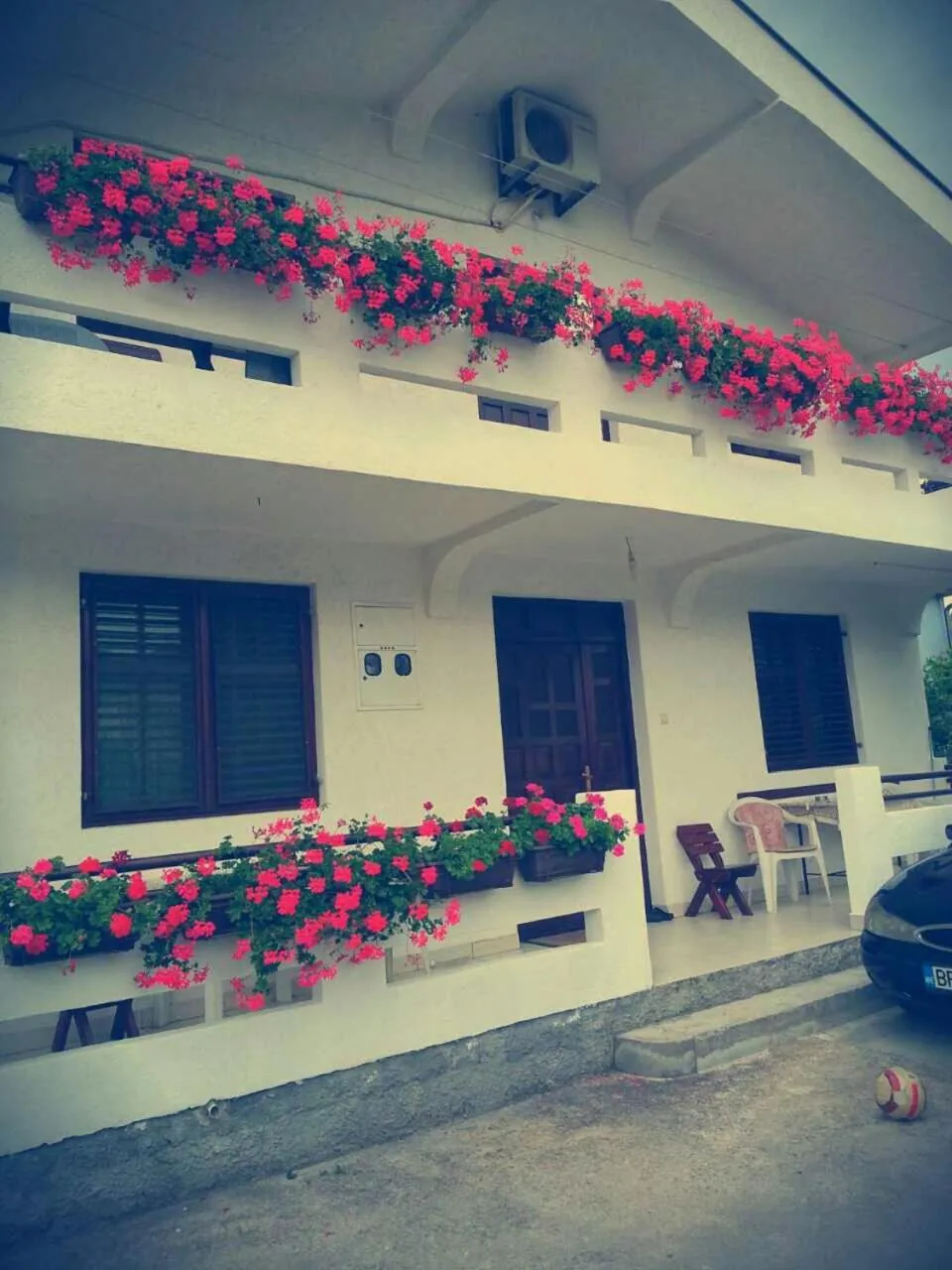 Apartman Tripkovic