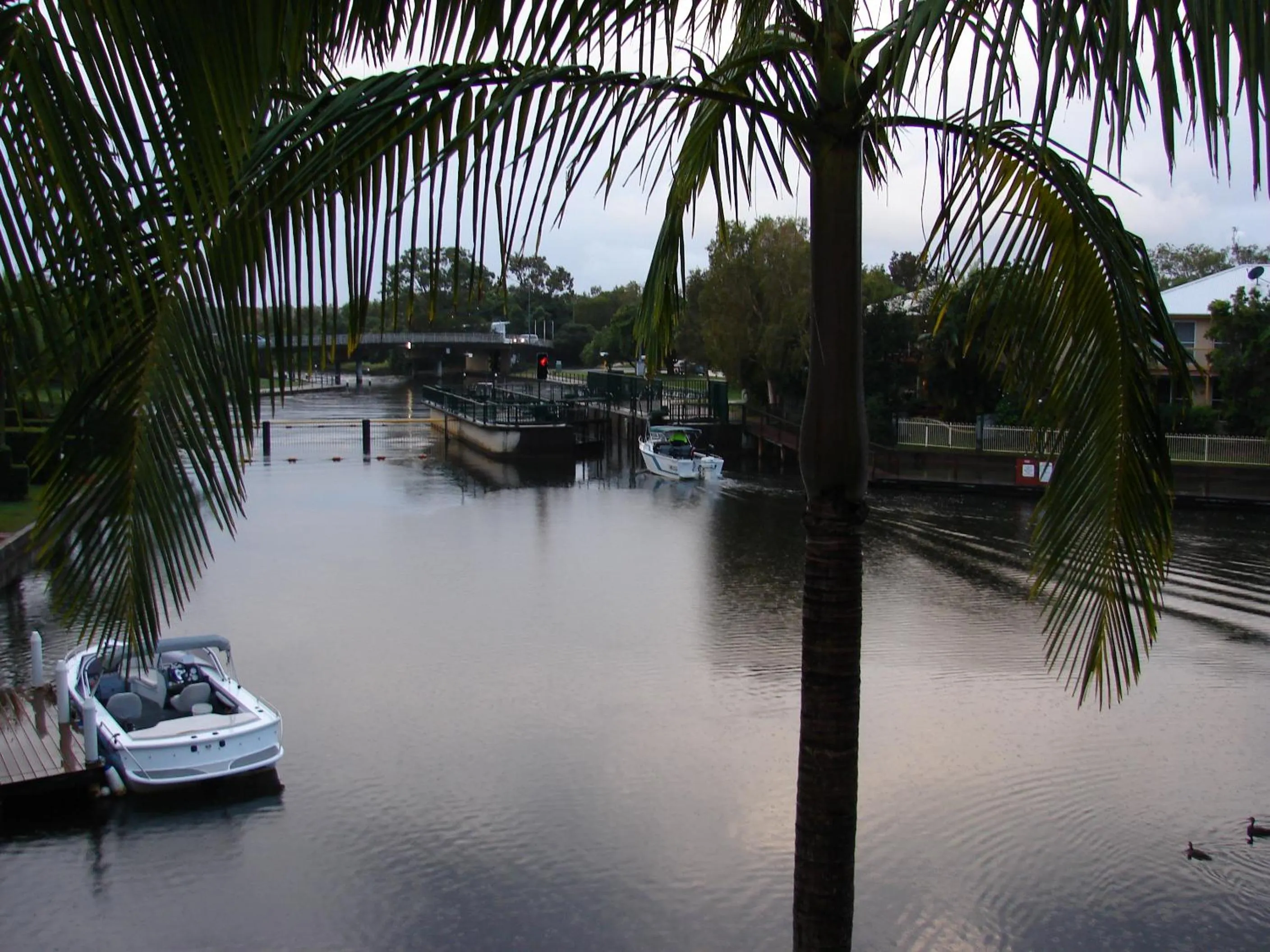 River view in Portside Noosa Waters