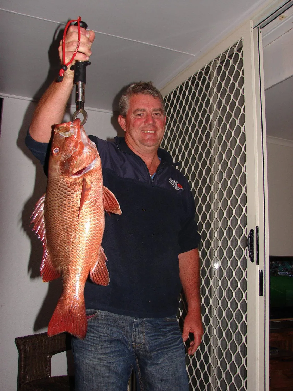 Fishing in Portside Noosa Waters