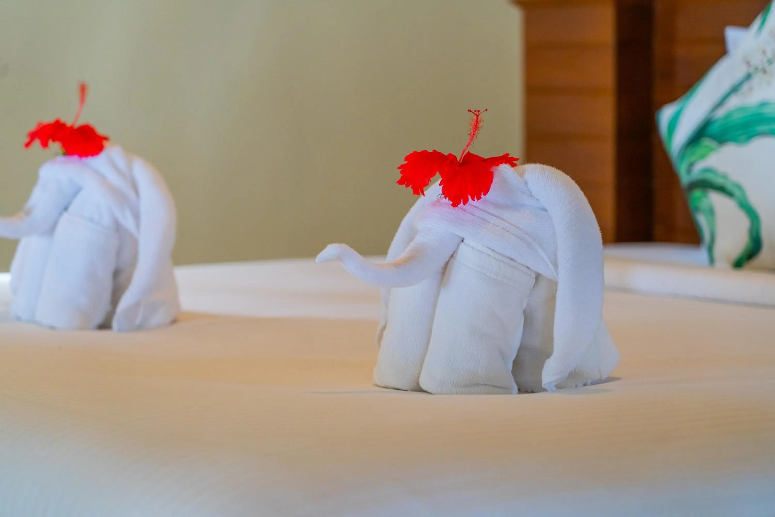 Area and facilities, Bed in The Tropical Beach Resort