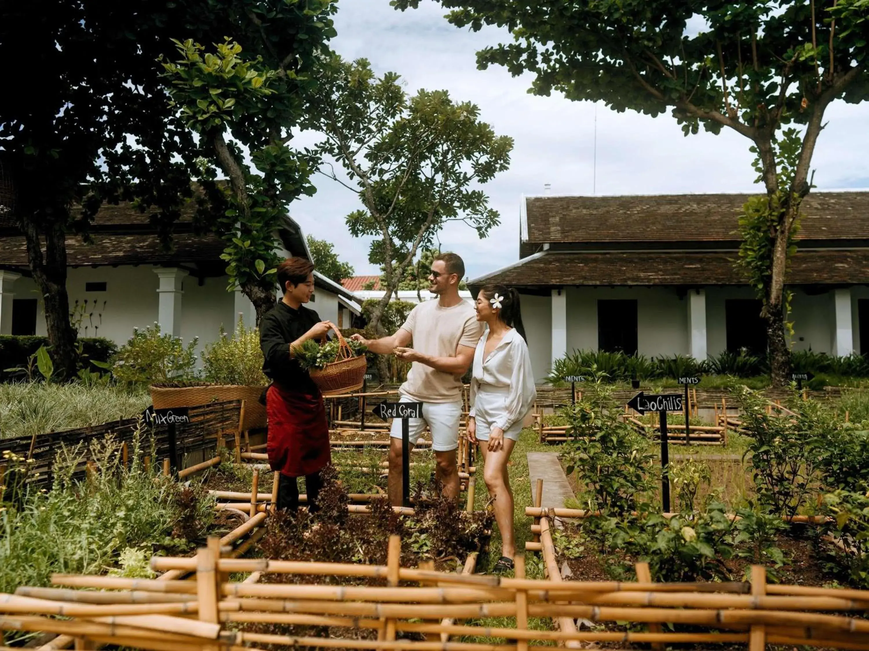 Restaurant/places to eat in Sofitel Luang Prabang Restaurant/places to eat in Sofitel Luang Prabang