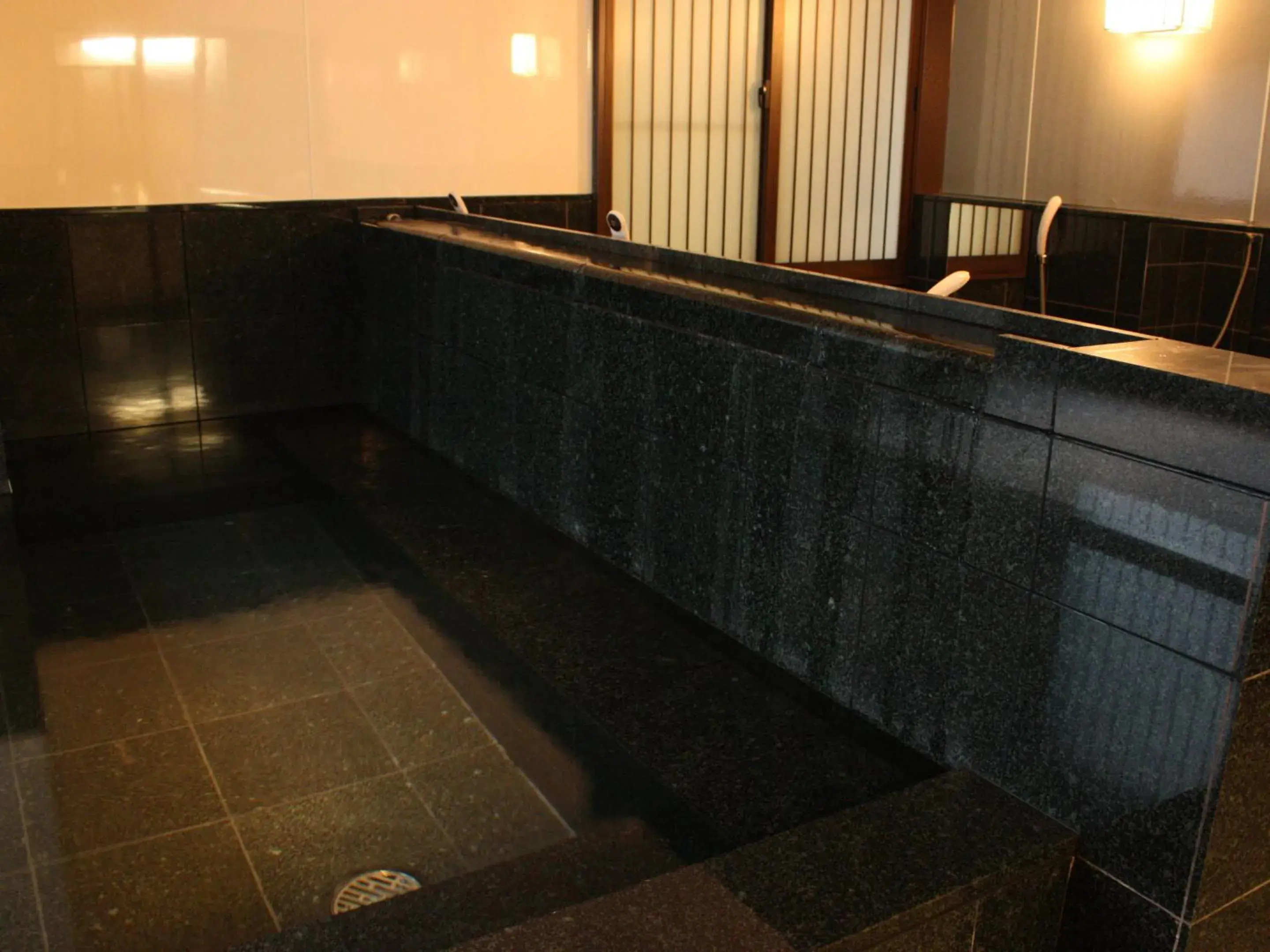 Public Bath, Swimming Pool in Ryokan Satomo