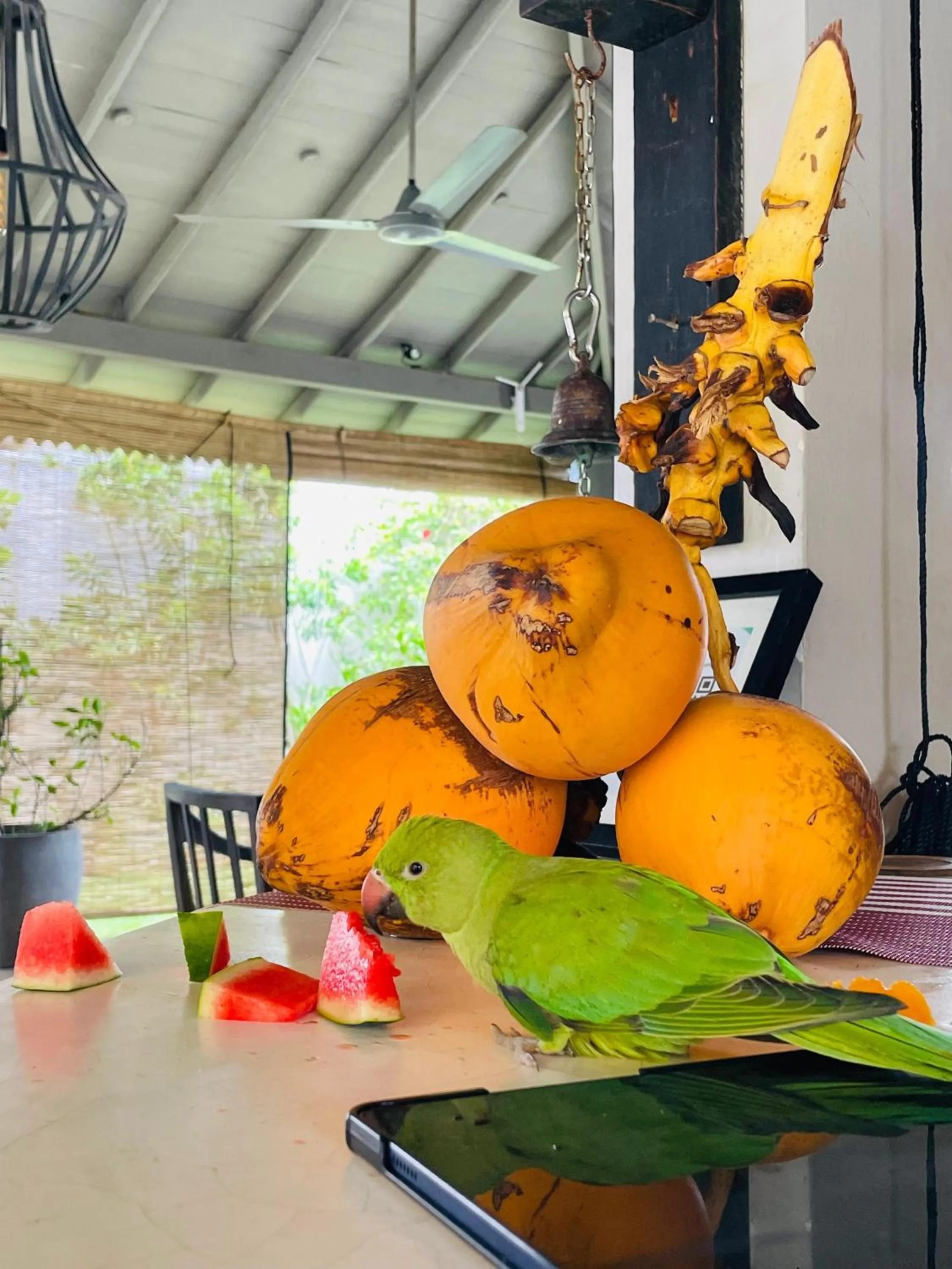 Lounge or bar in Suite Lanka