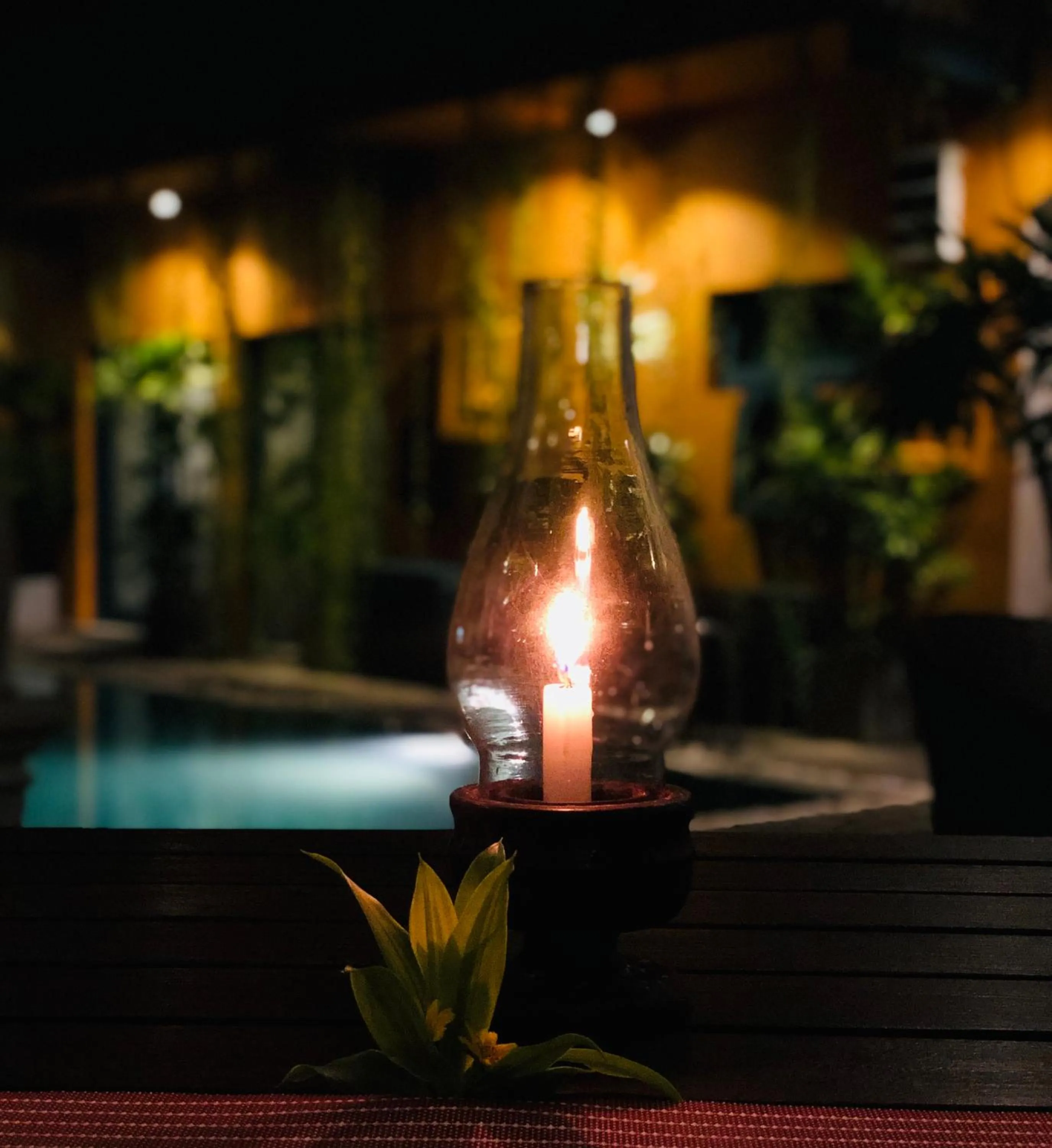 Lounge or bar in Suite Lanka