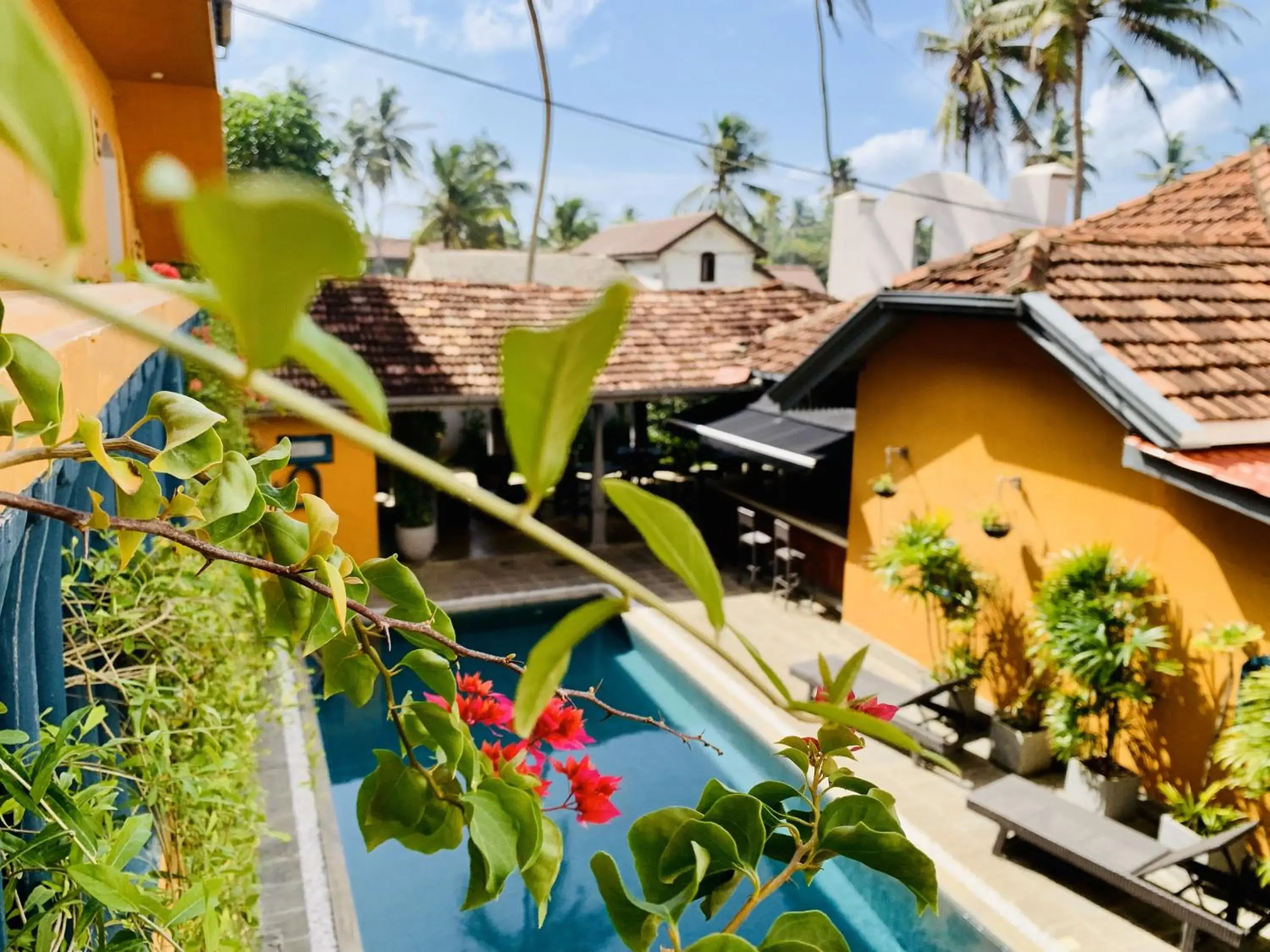 Swimming pool in Suite Lanka Swimming pool in Suite Lanka