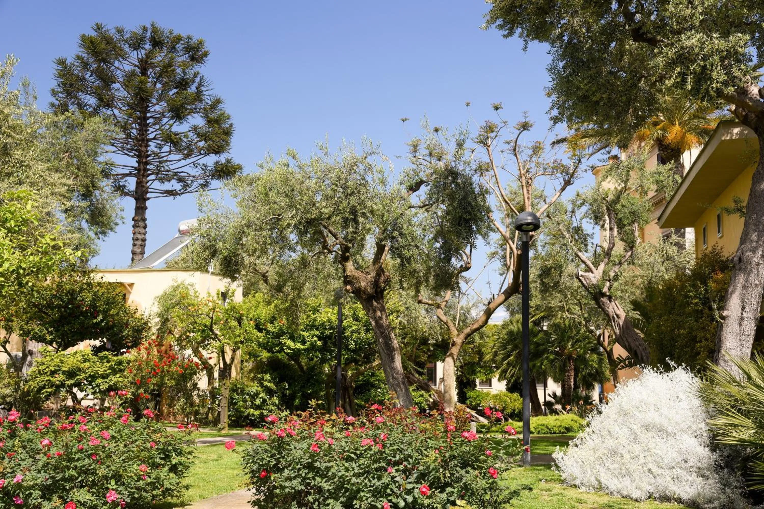 Garden in Villa Crawford