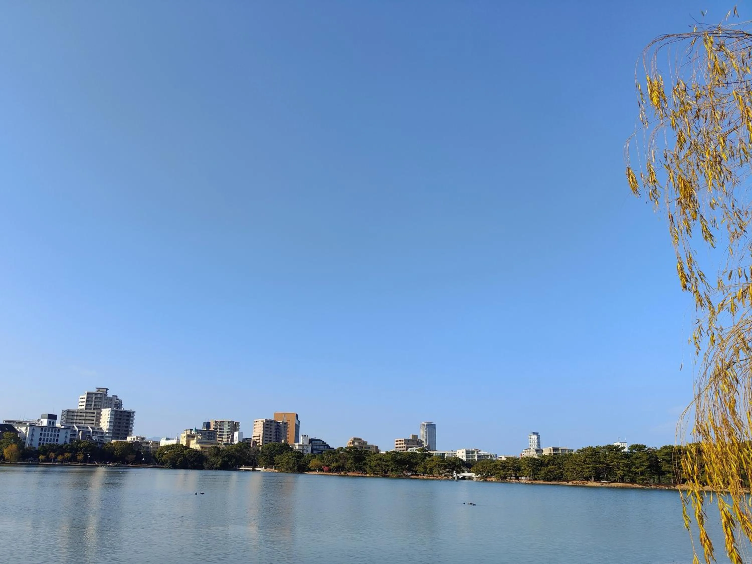 Natural landscape in Heiwadai Hotel Otemon