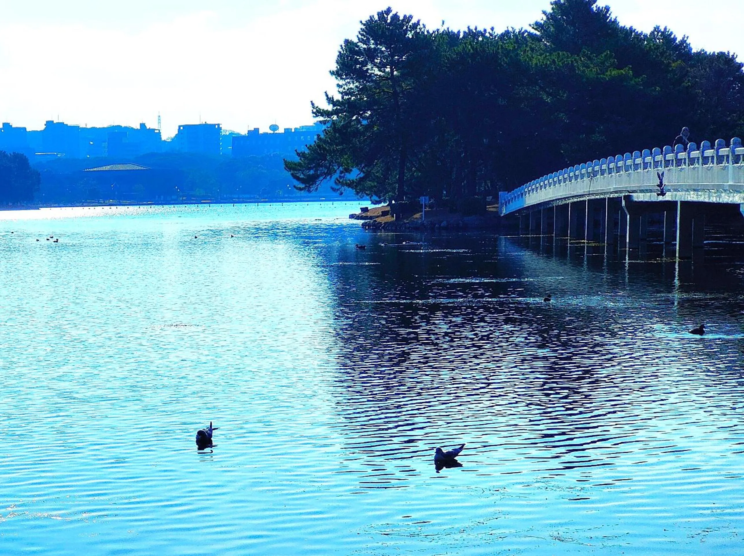 Natural landscape in Heiwadai Hotel Otemon