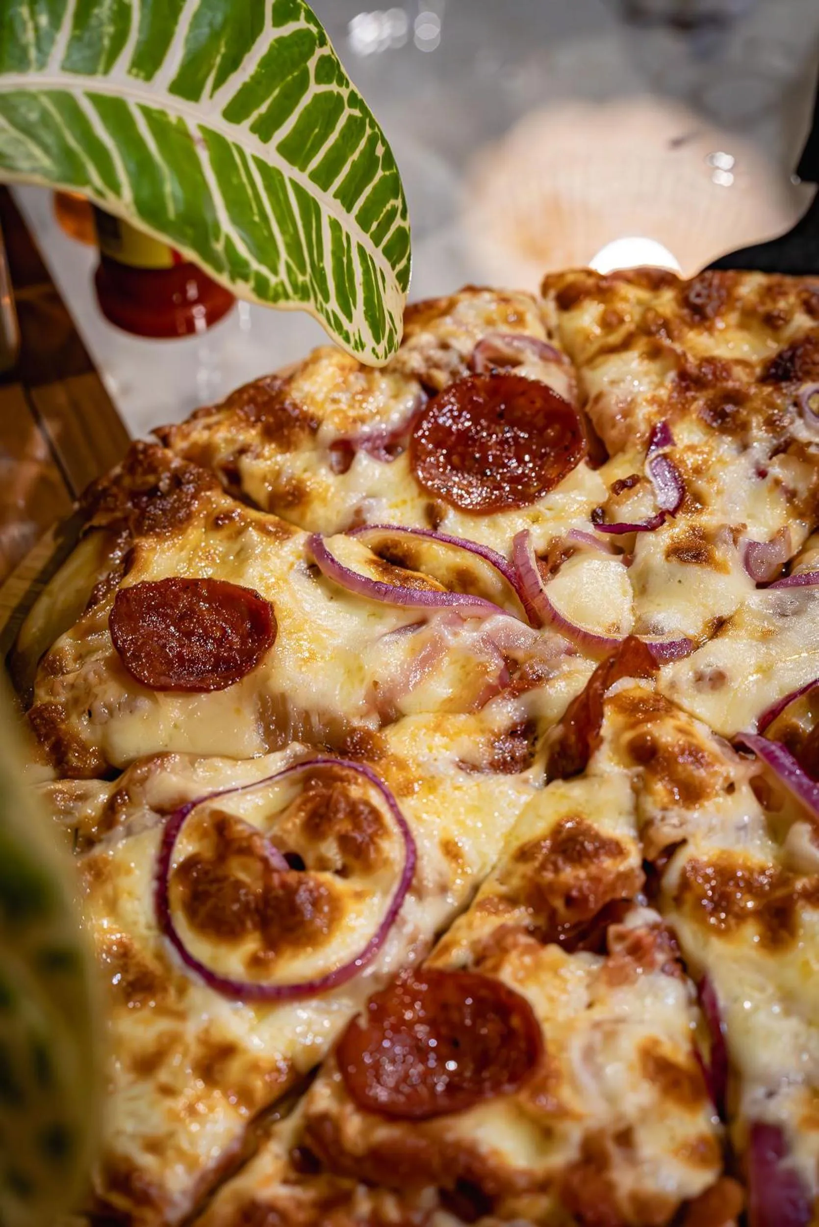 Blue Star Dive and Resort