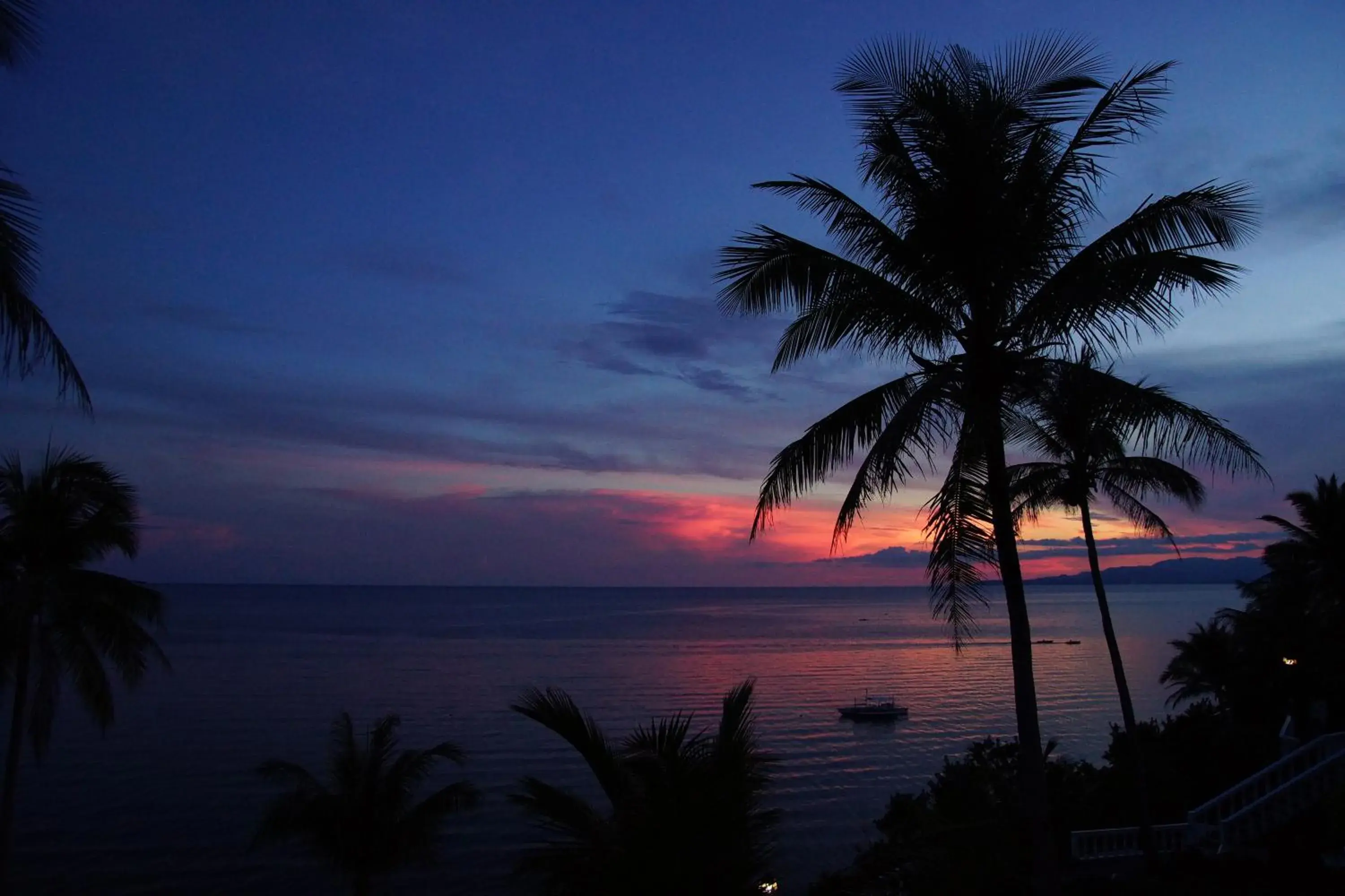 Restaurant/places to eat in Blue Star Dive and Resort Restaurant/places to eat in Blue Star Dive and Resort