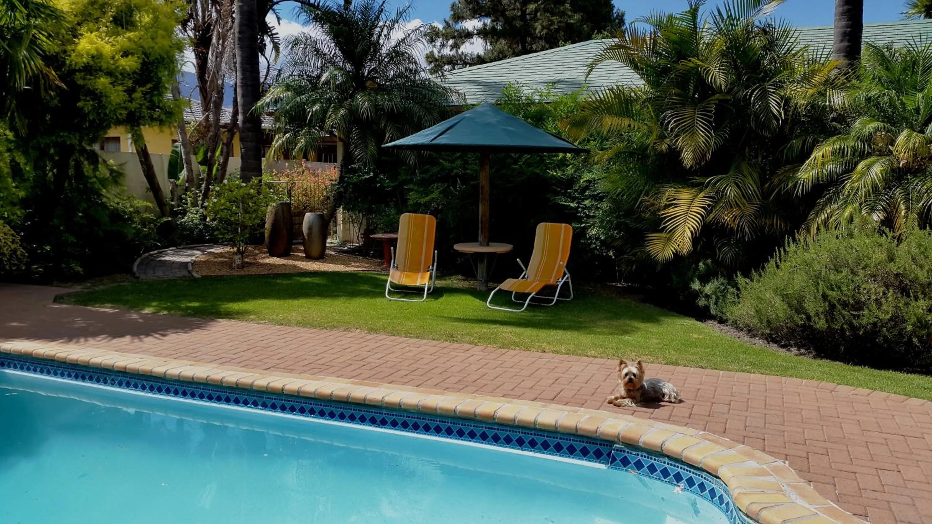 Garden in Eikepark Self Catering