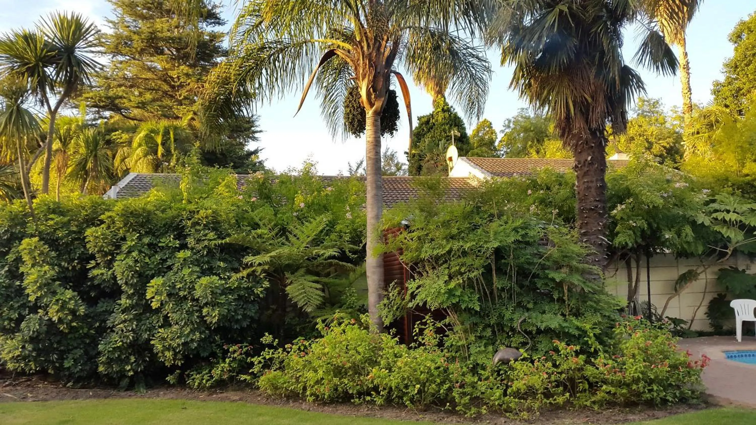 Garden in Eikepark Self Catering