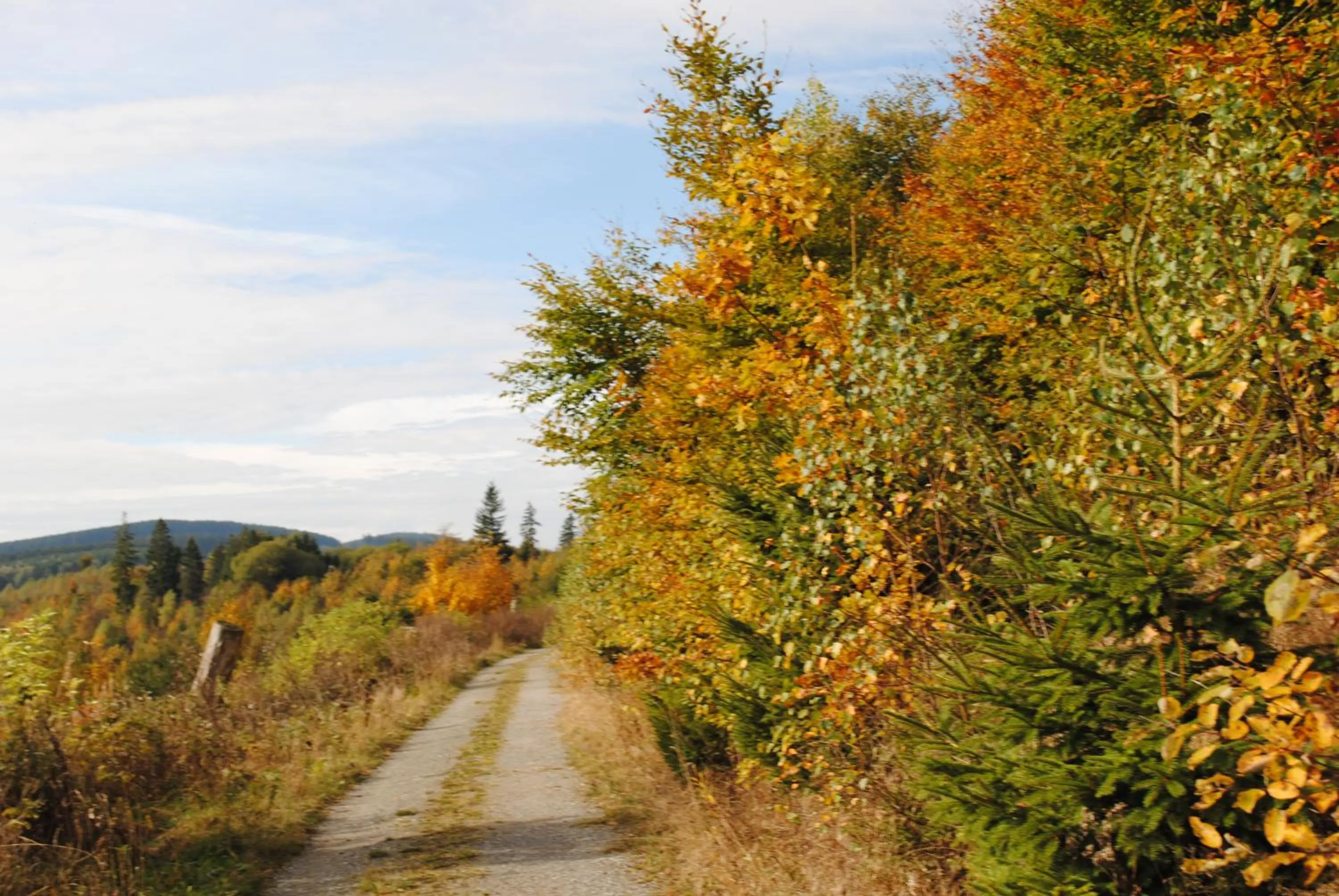 Natural landscape in Landgasthof Gruss