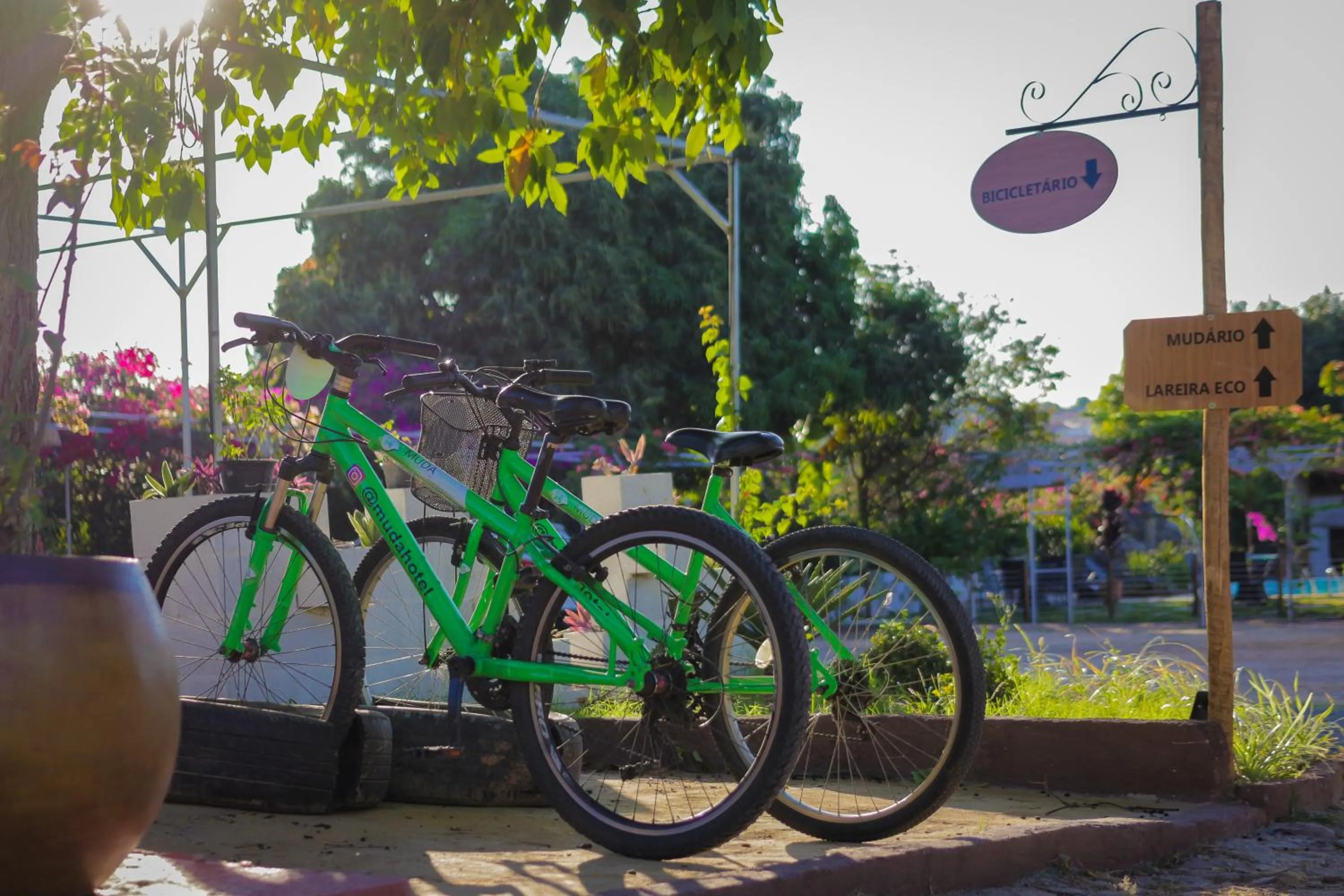 Activities in Muda Hotel