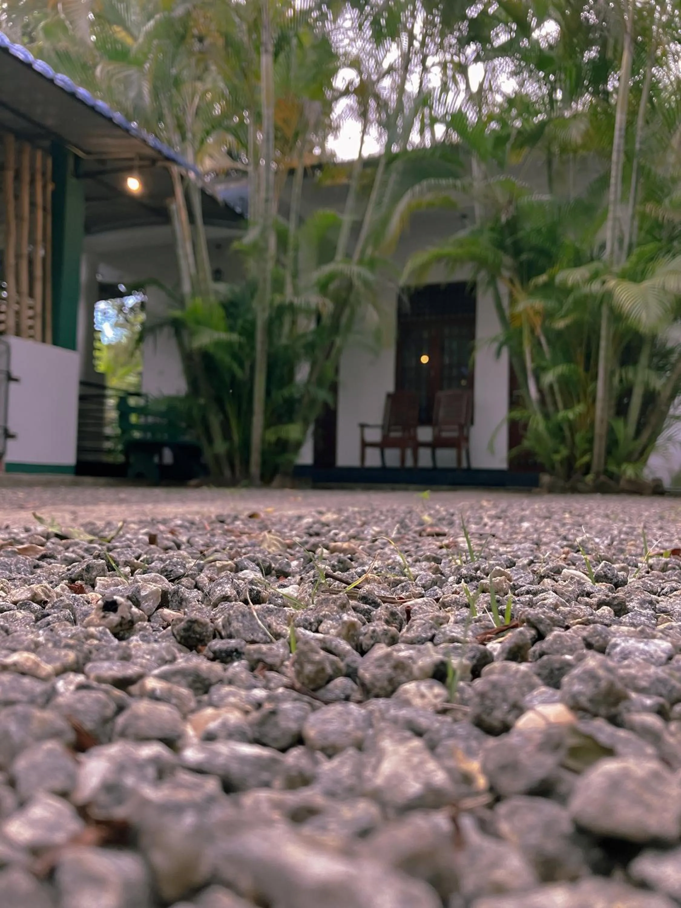 Golden Pearl Safari Villa