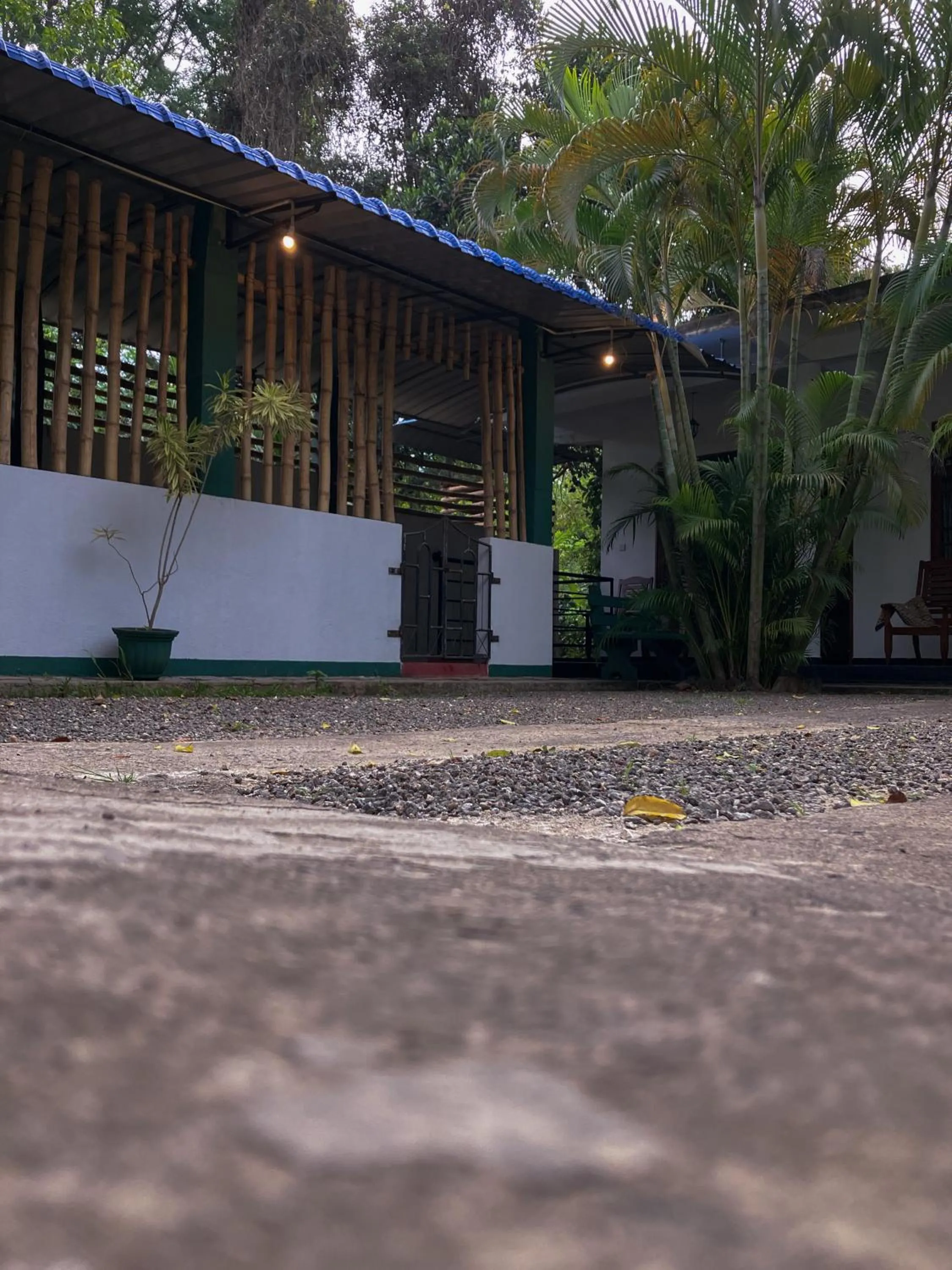 Golden Pearl Safari Villa