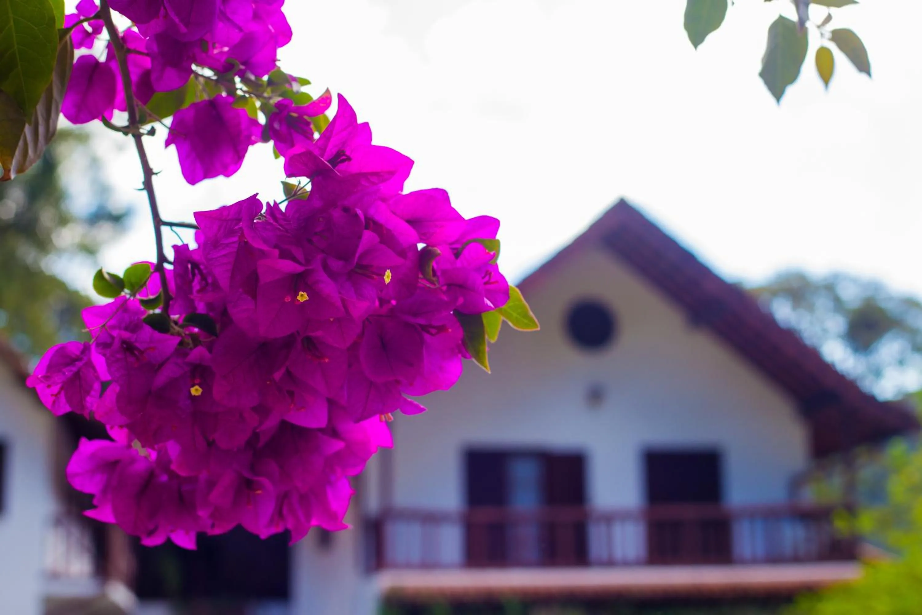 Property building in Pousada Taverna do Golf