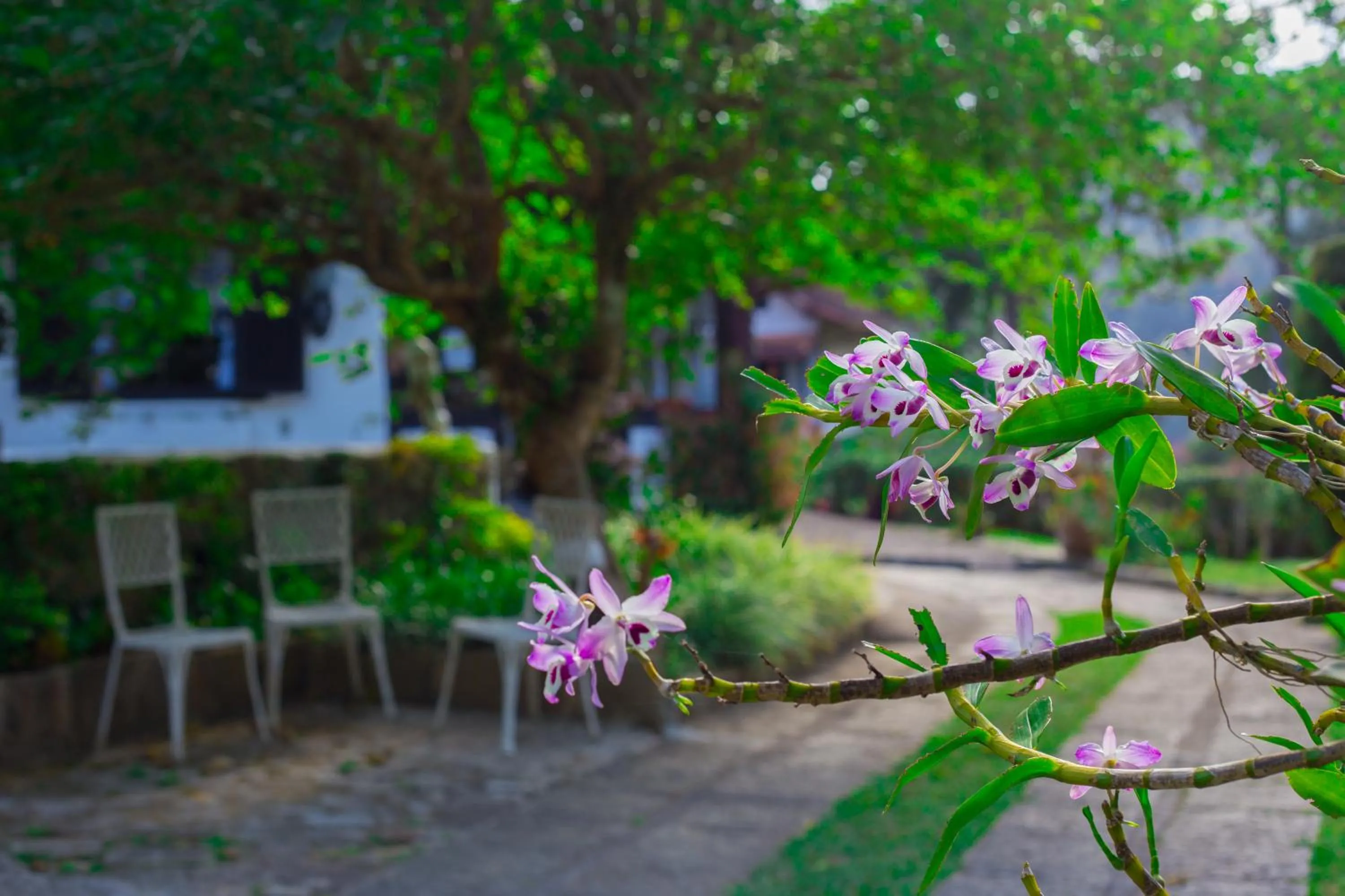 Garden in Pousada Taverna do Golf