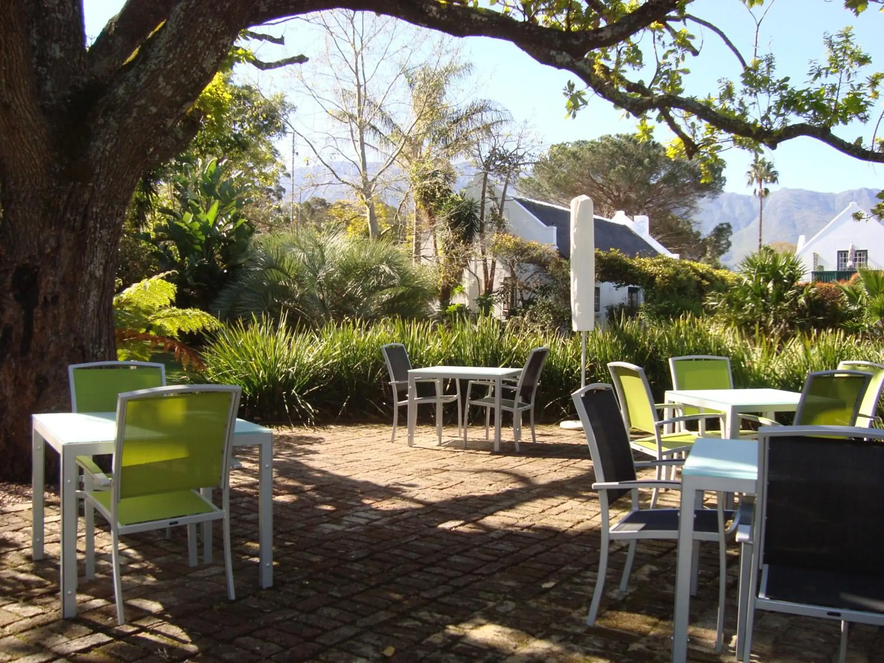 Restaurant/places to eat in Rothman Manor Restaurant/places to eat in Rothman Manor