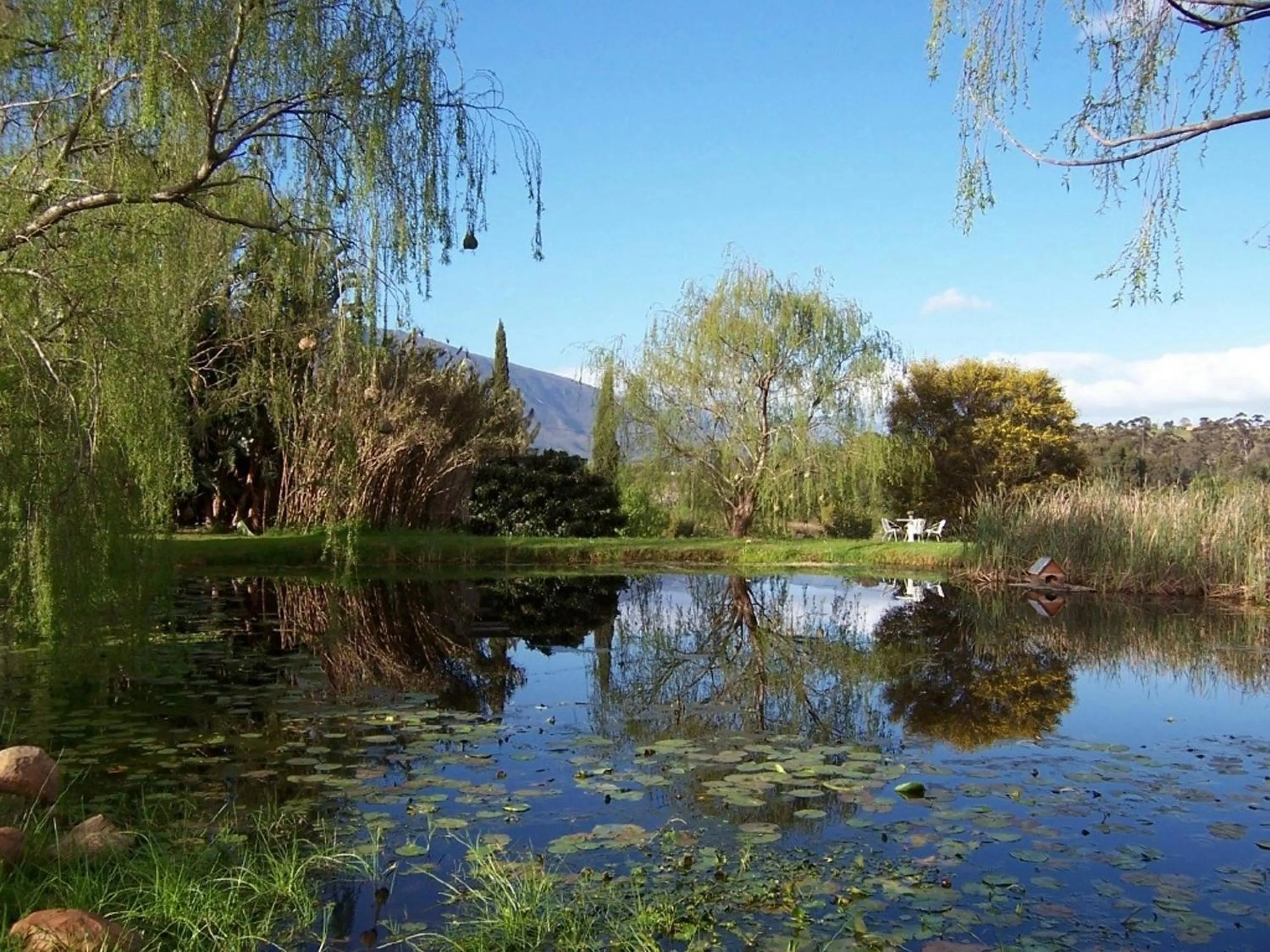 Natural landscape in Rothman Manor