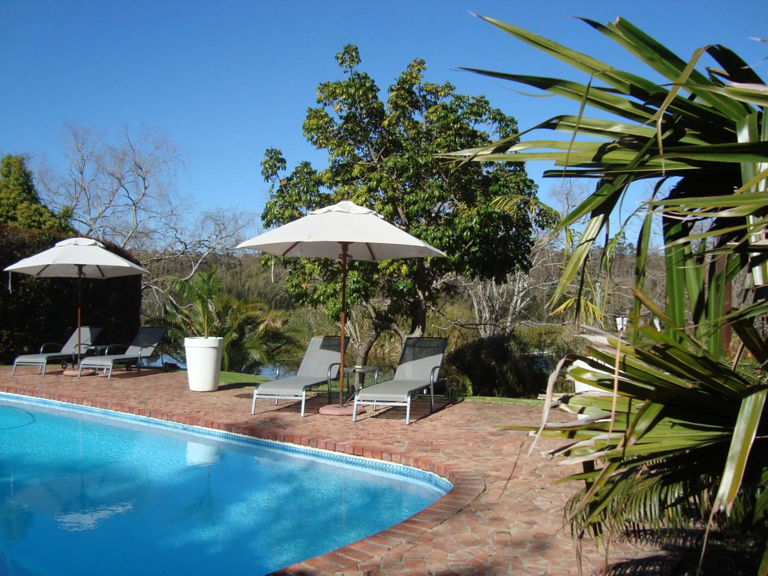 Swimming pool in Rothman Manor