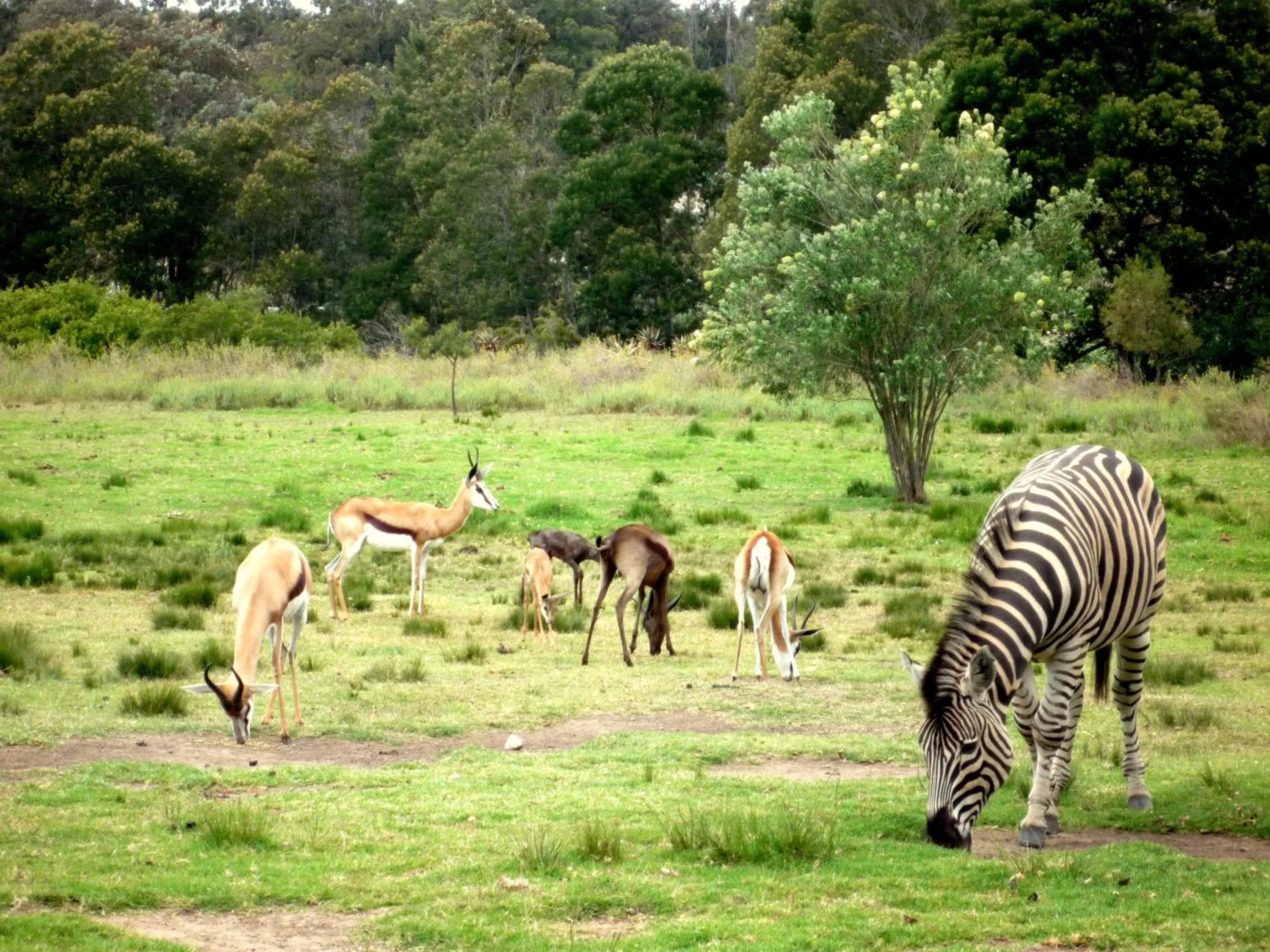 Natural landscape in Rothman Manor