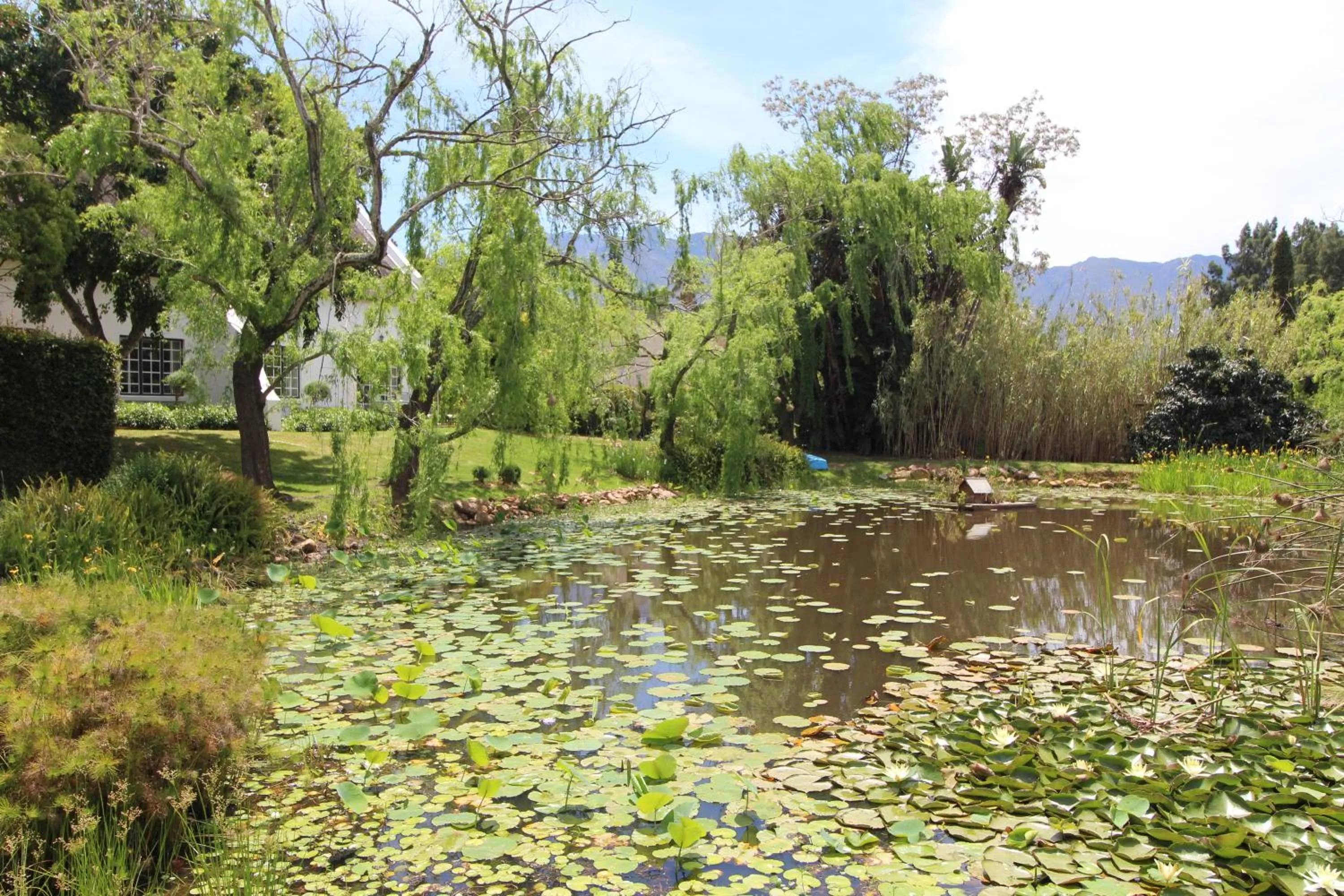 Natural landscape in Rothman Manor