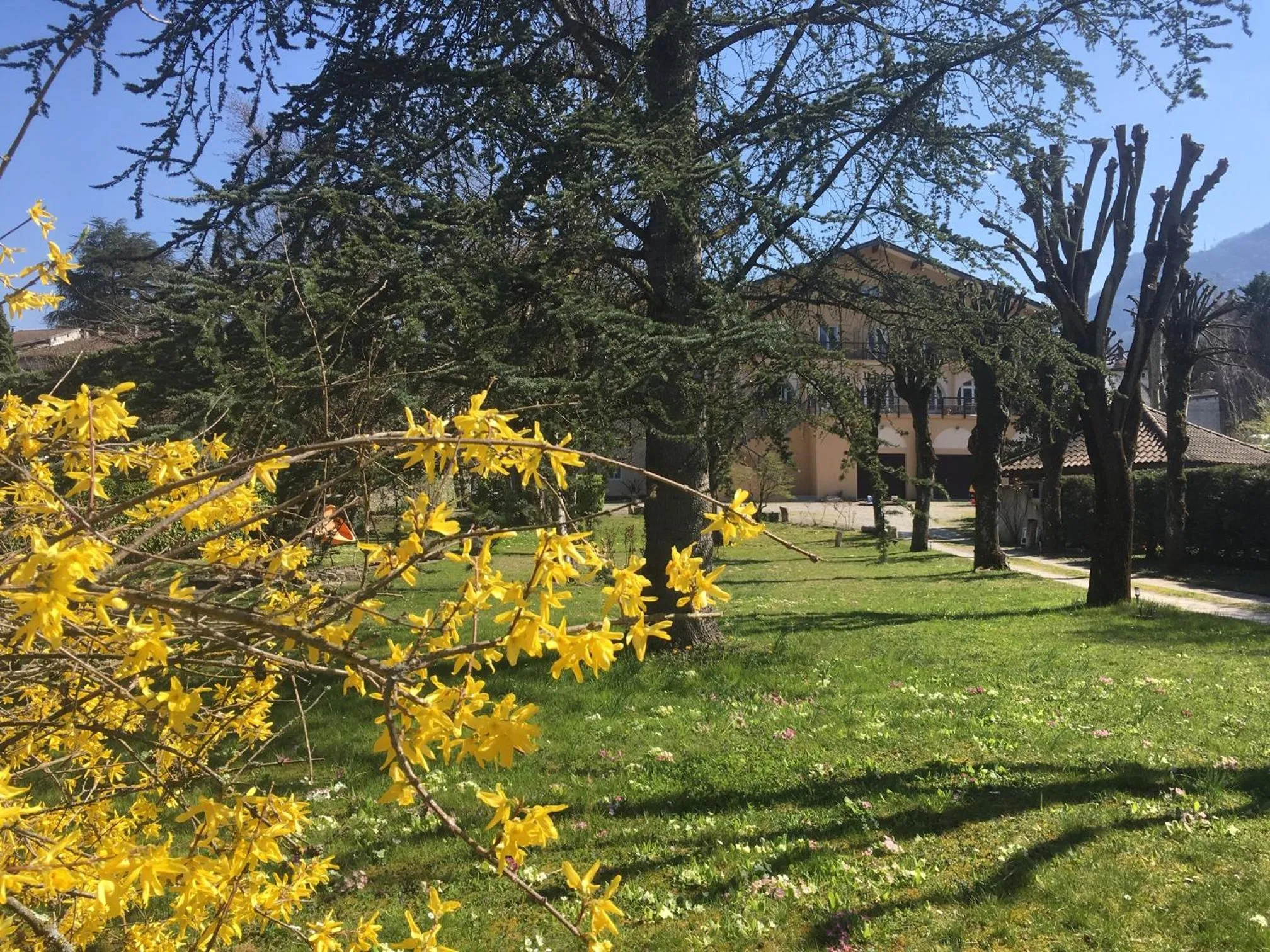 Facade/entrance in Logis Hôtel Restaurant Le Castel Fleuri