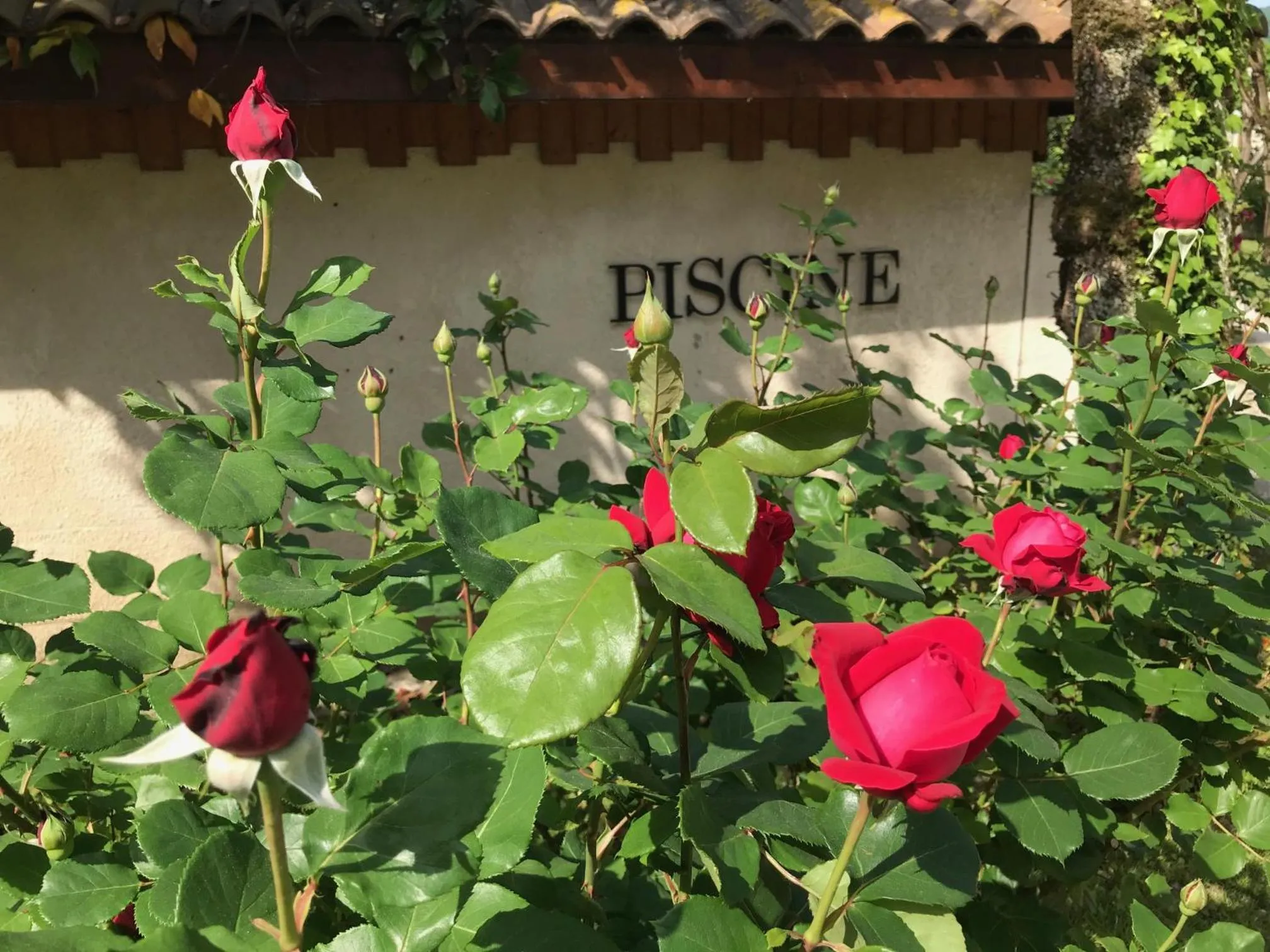 Garden in Logis Hôtel Restaurant Le Castel Fleuri