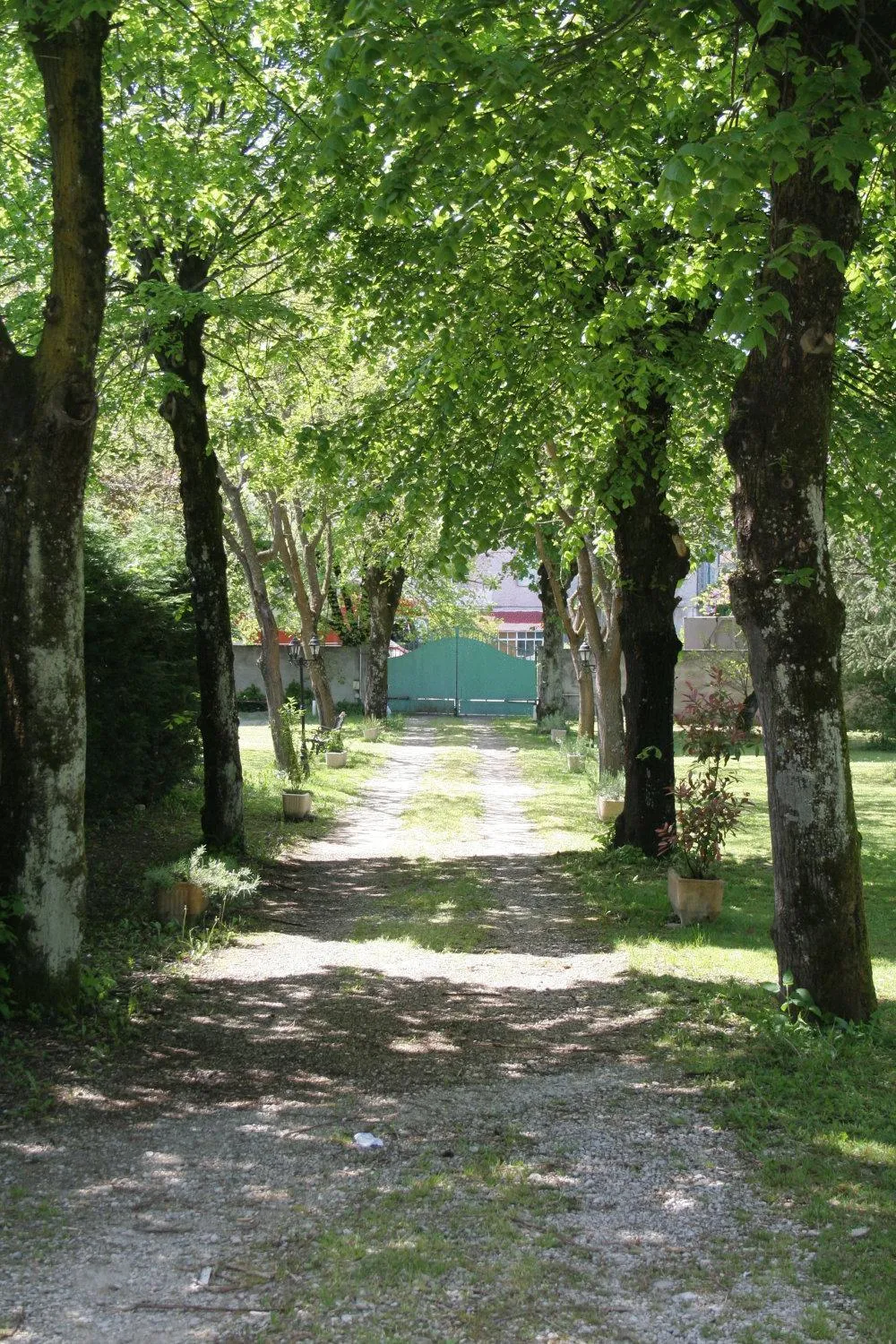 Garden in Logis Hôtel Restaurant Le Castel Fleuri