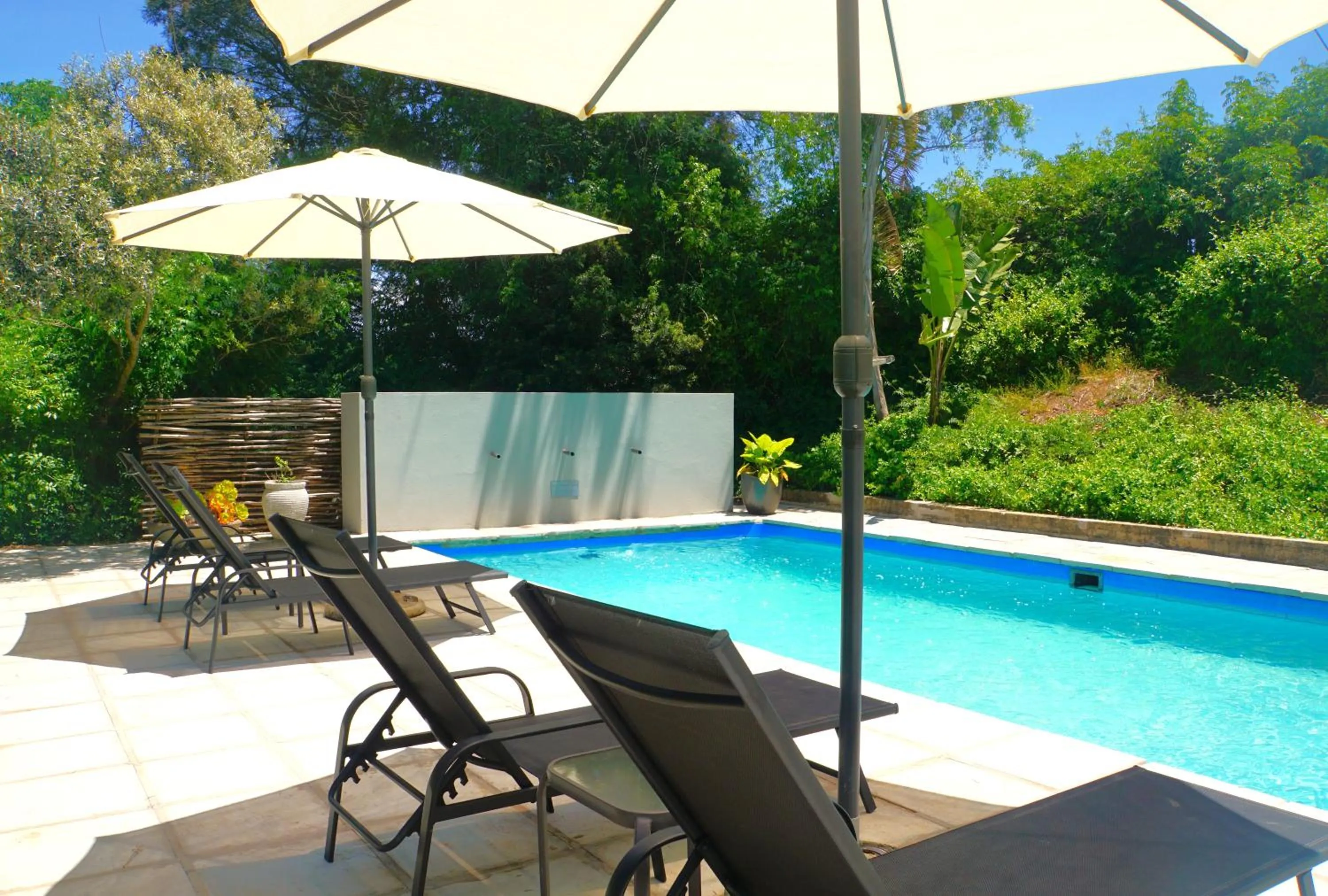 Swimming pool in Swellendam Country Lodge - Guest House - B&B