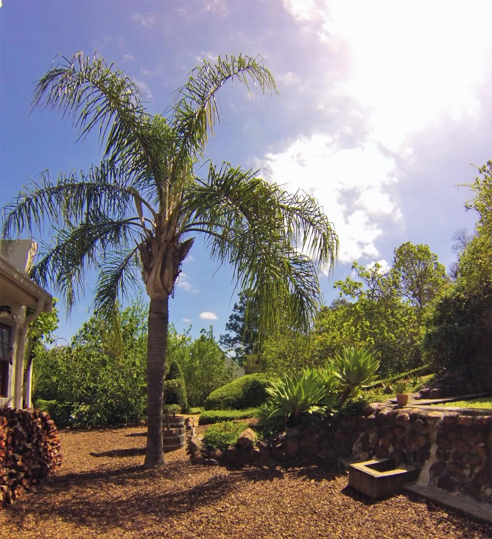 Garden in Swellendam Country Lodge - Guest House - B&B
