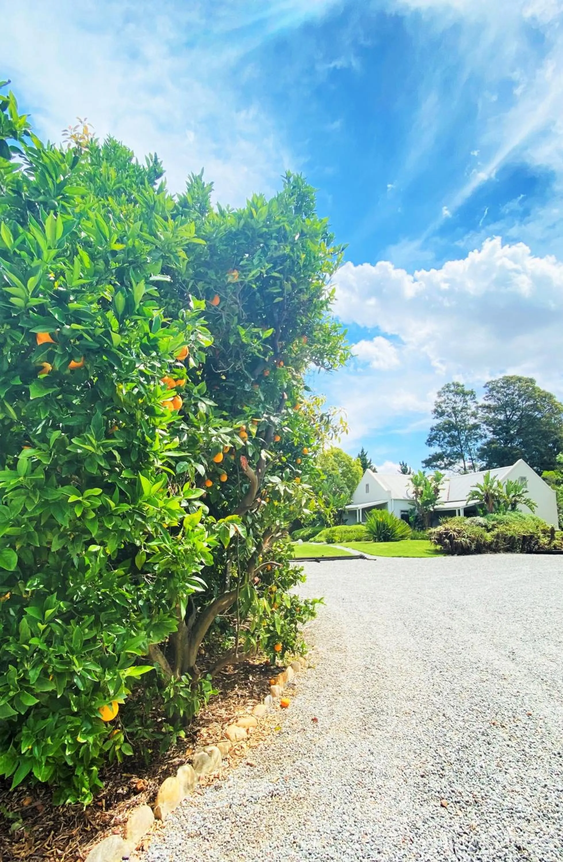 Property building in Swellendam Country Lodge - Guest House - B&B