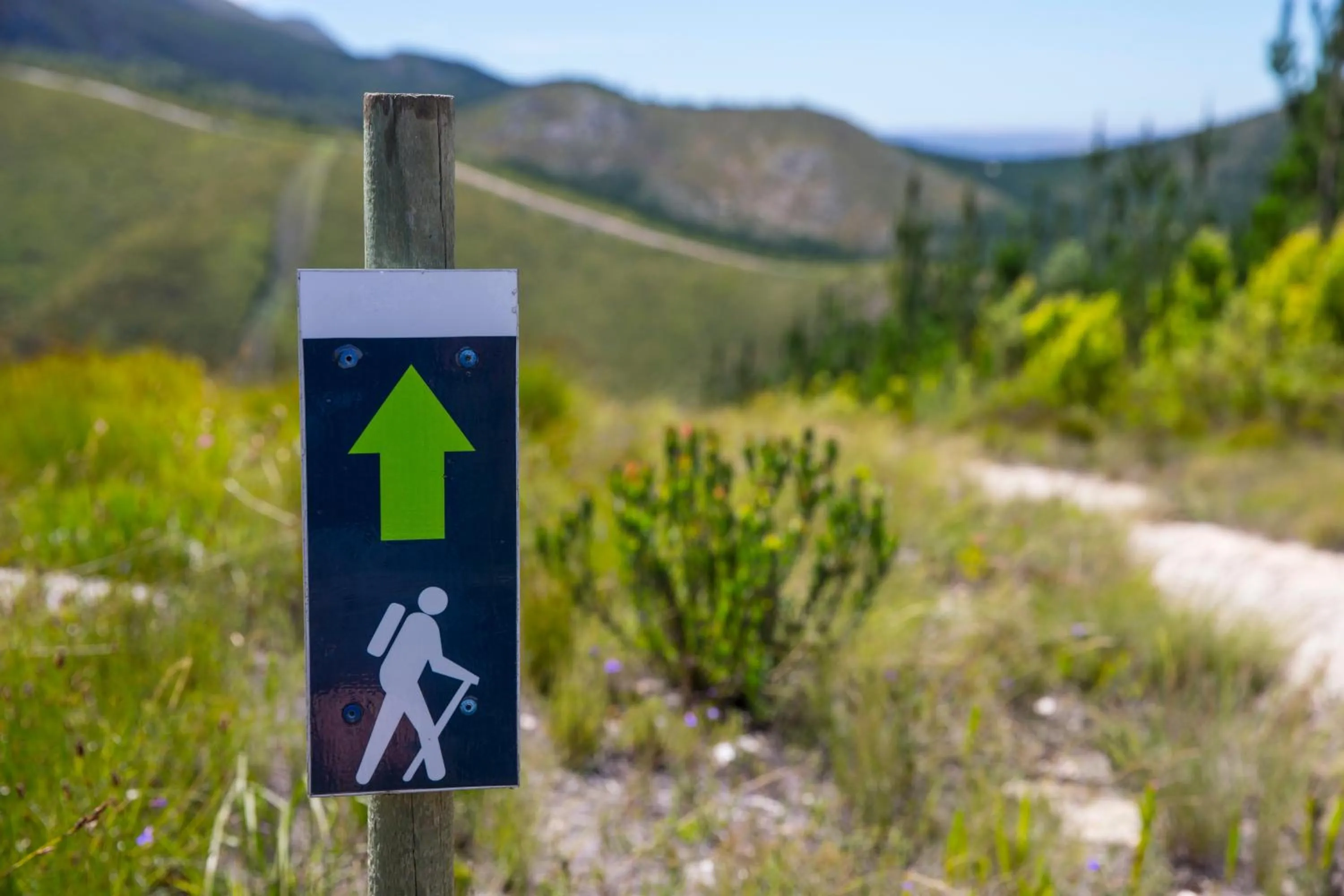 Horse-riding in Swellendam Country Lodge - Guest House - B&B